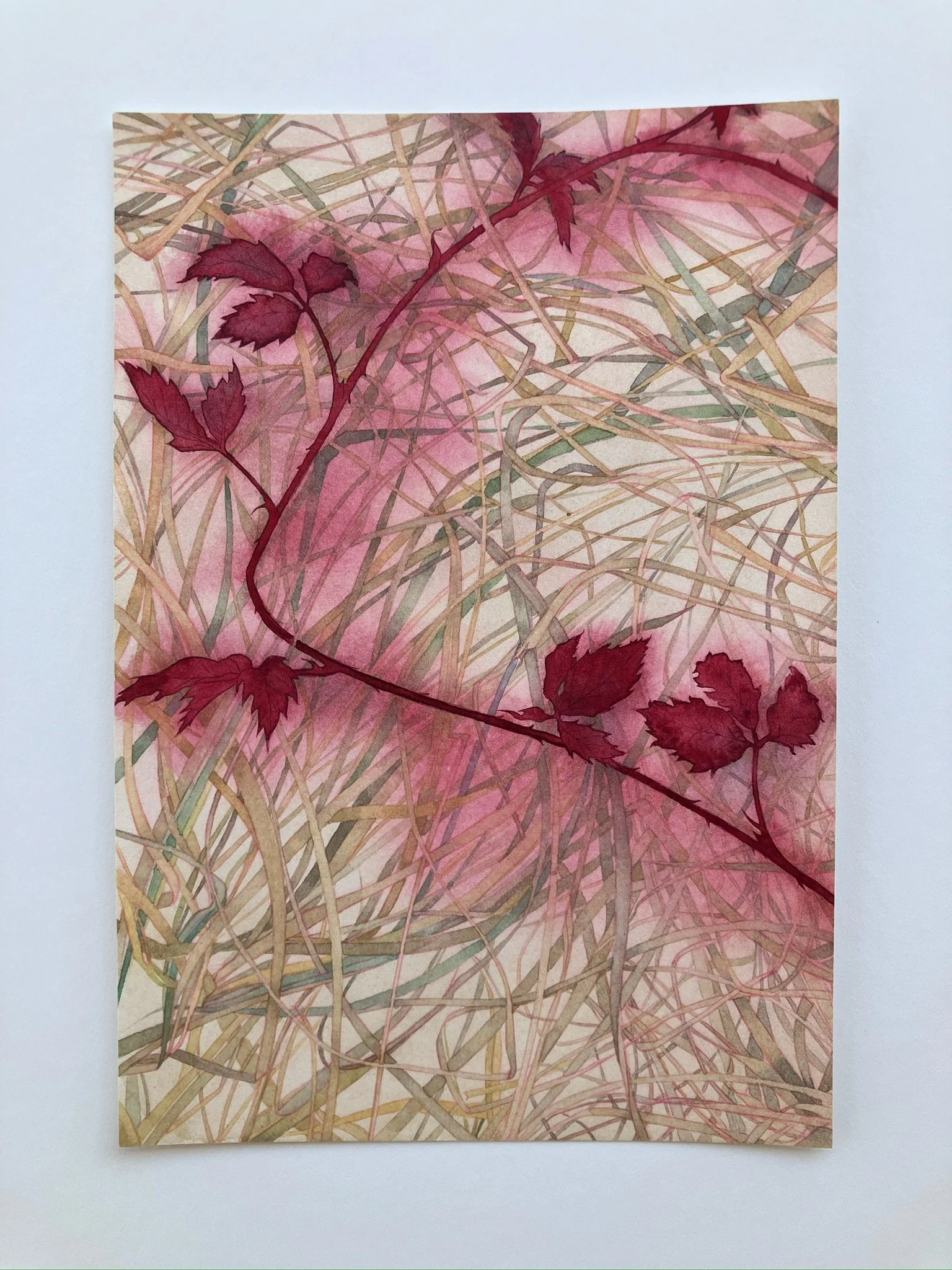 Bramble (Marsha Riti)