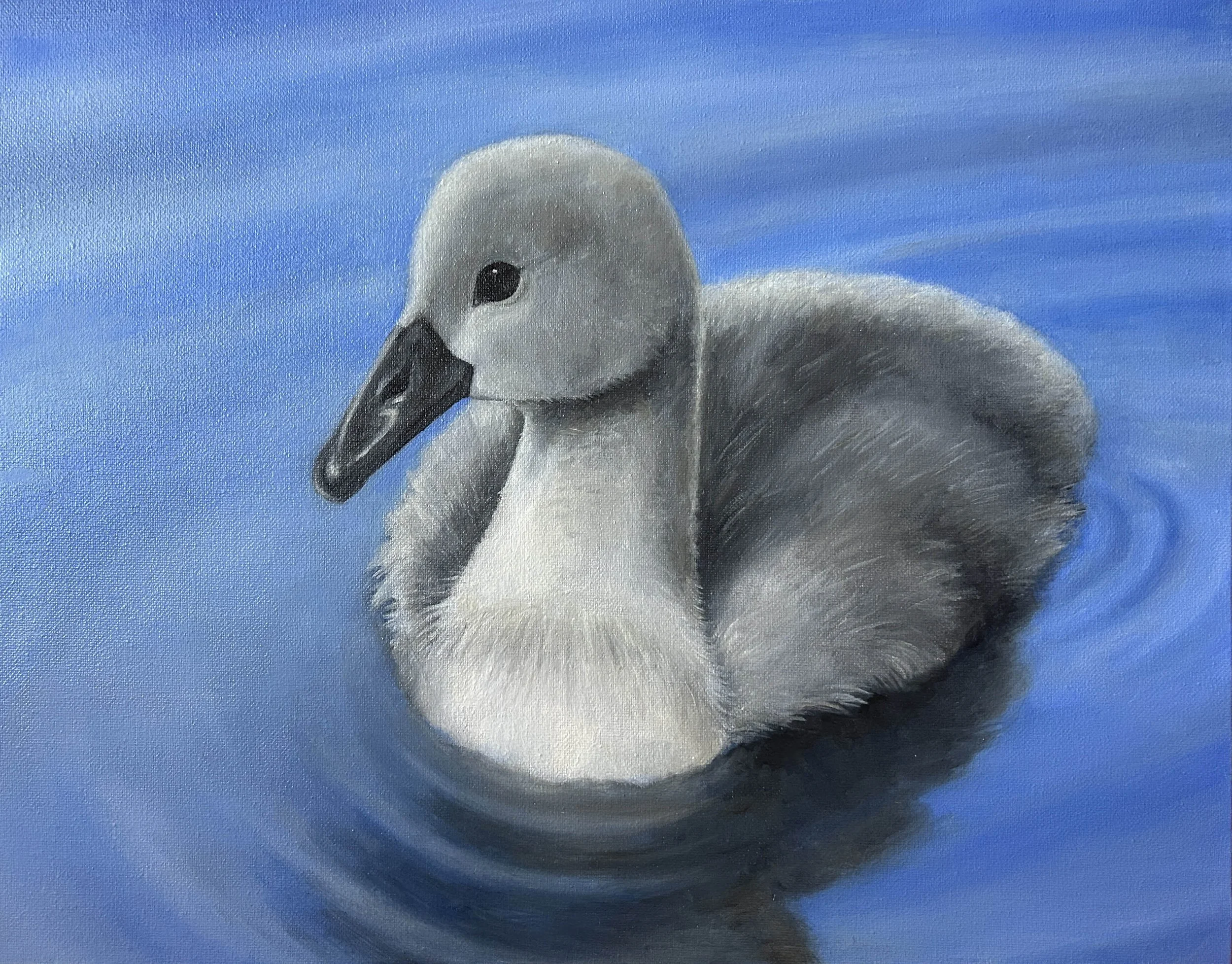 Cygnet (Helen Hartman)