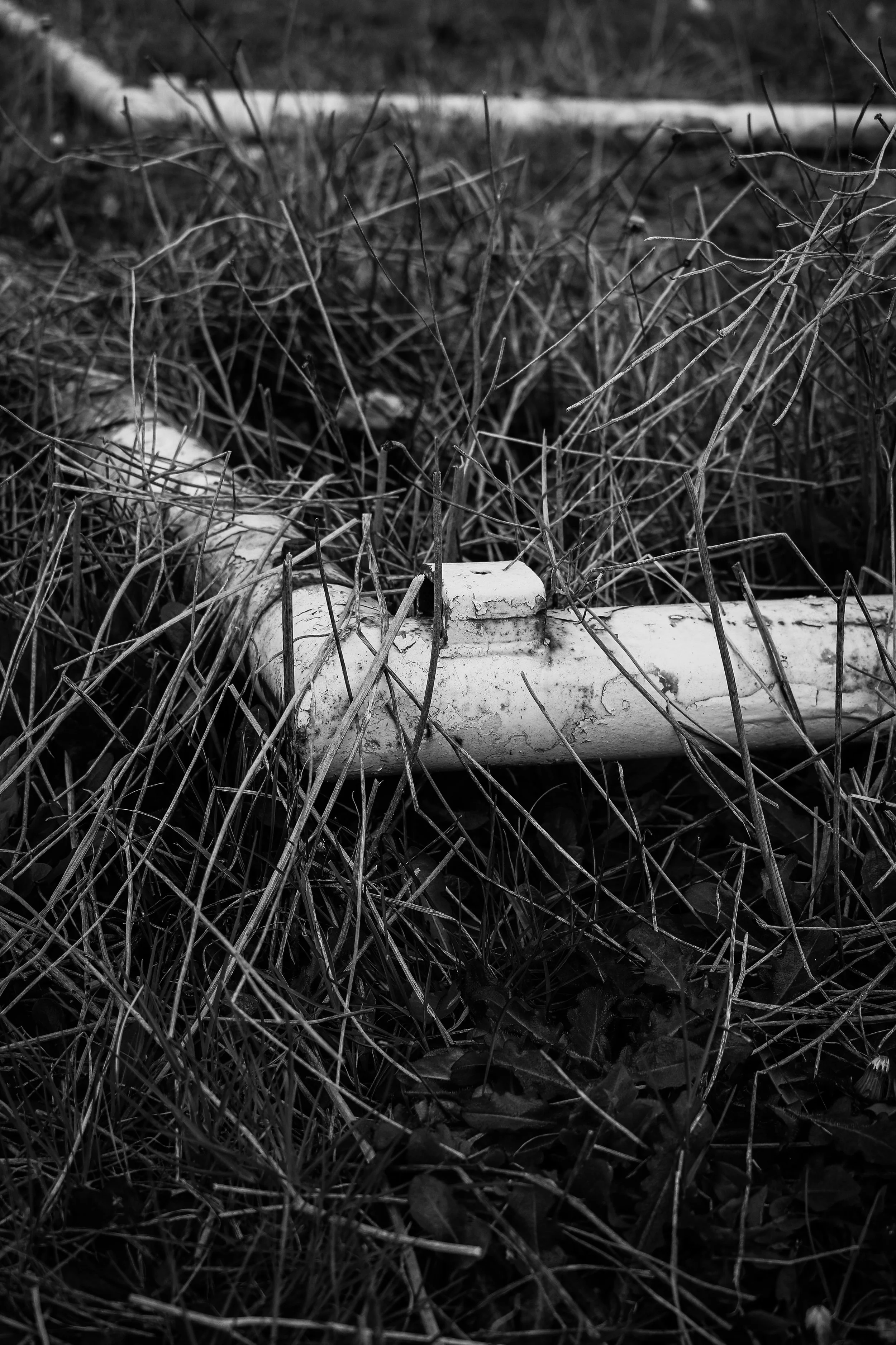 Close-up of a fallen, broken PVC pipe among dry grass and weeds in black and white.