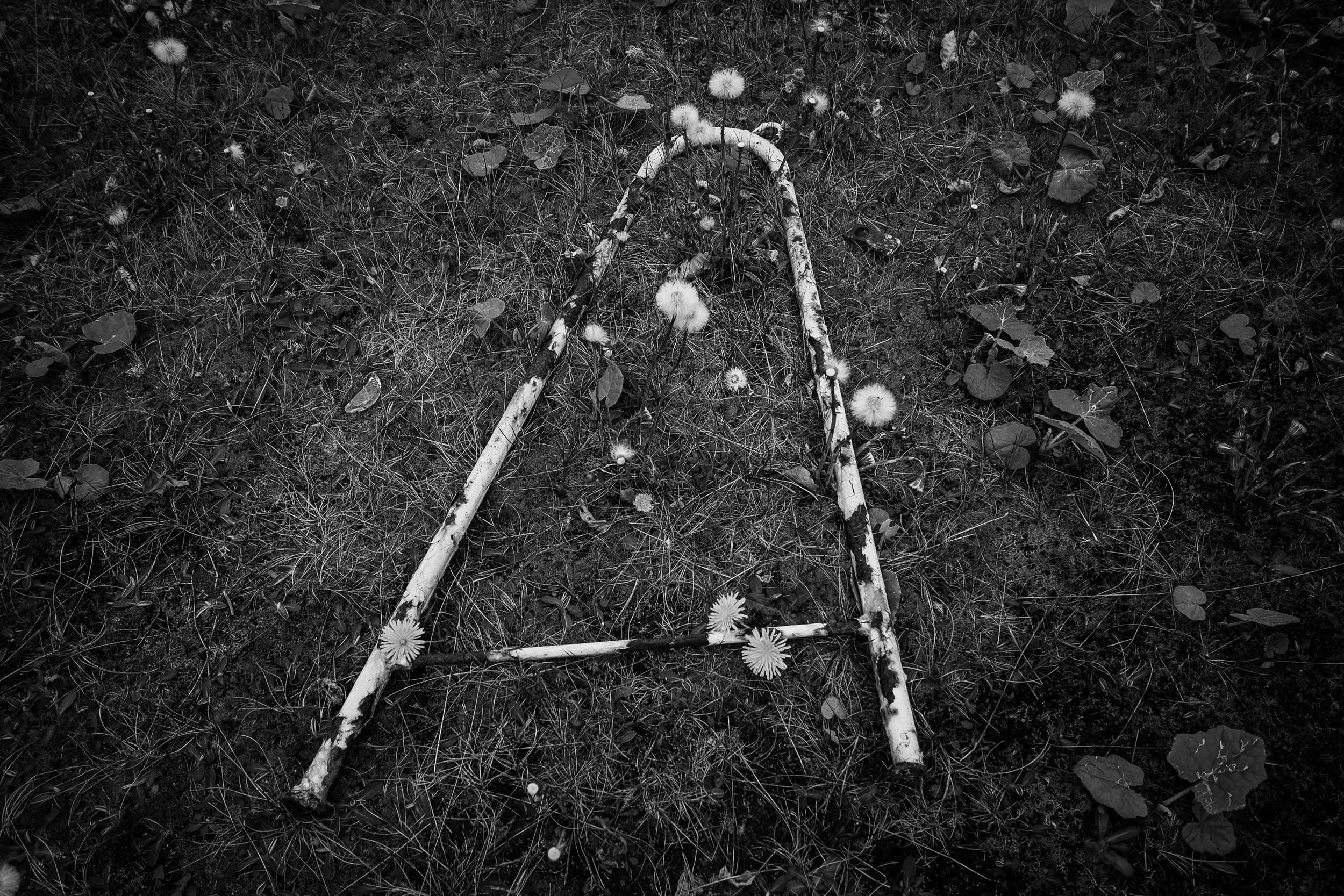 Black and white photo of the letter 'A' made from white sticks on a grassy ground with flowers and leaves.