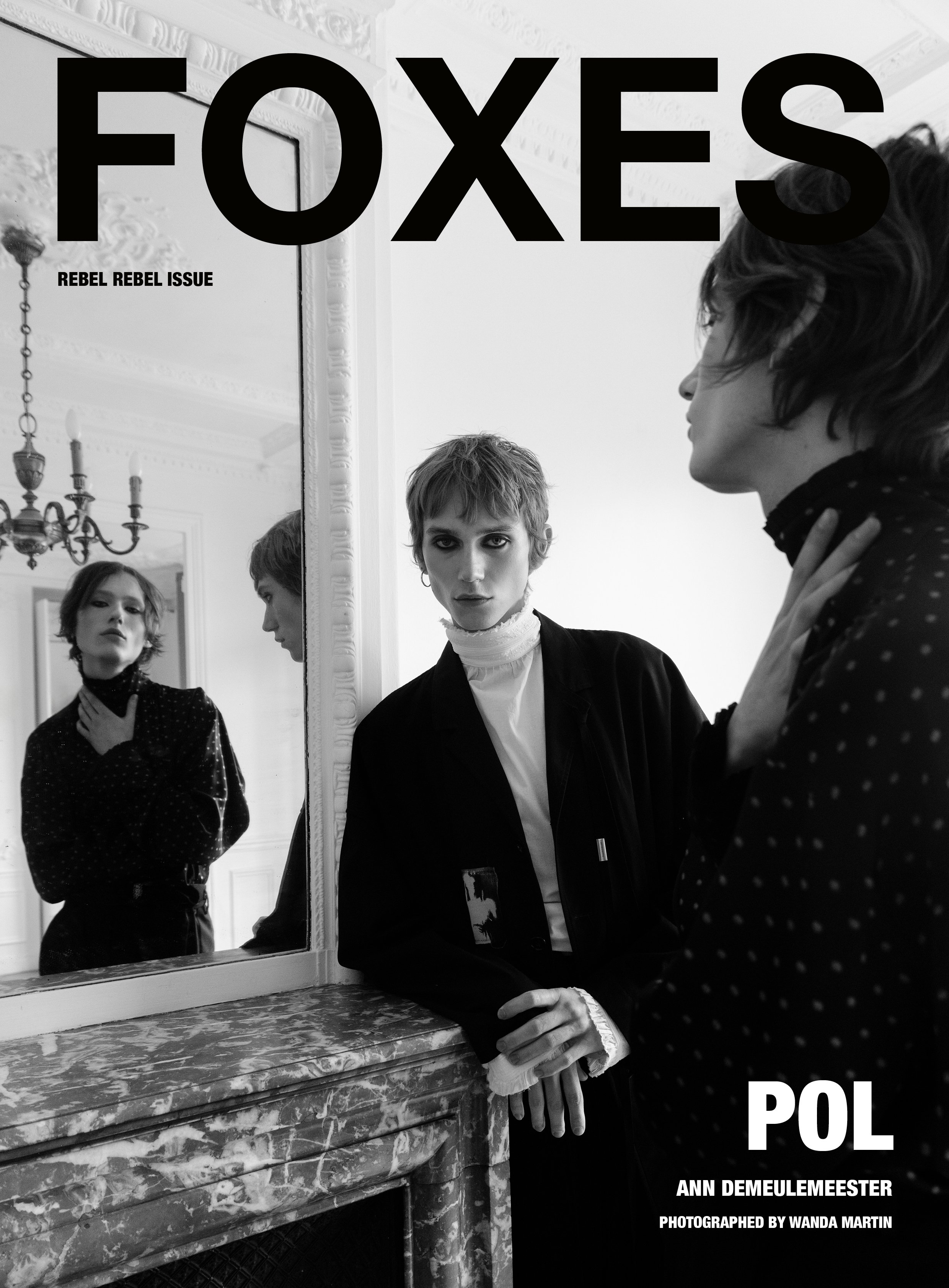 covers_foxes_POL.jpg