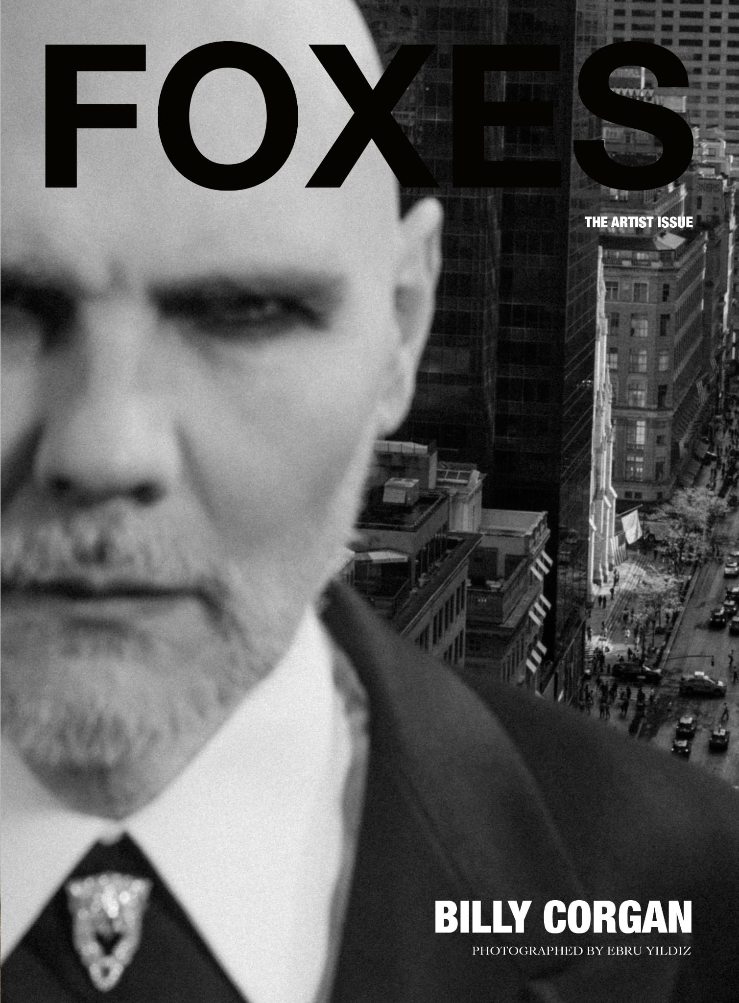 Billy Corgan "The Artist" issue 17