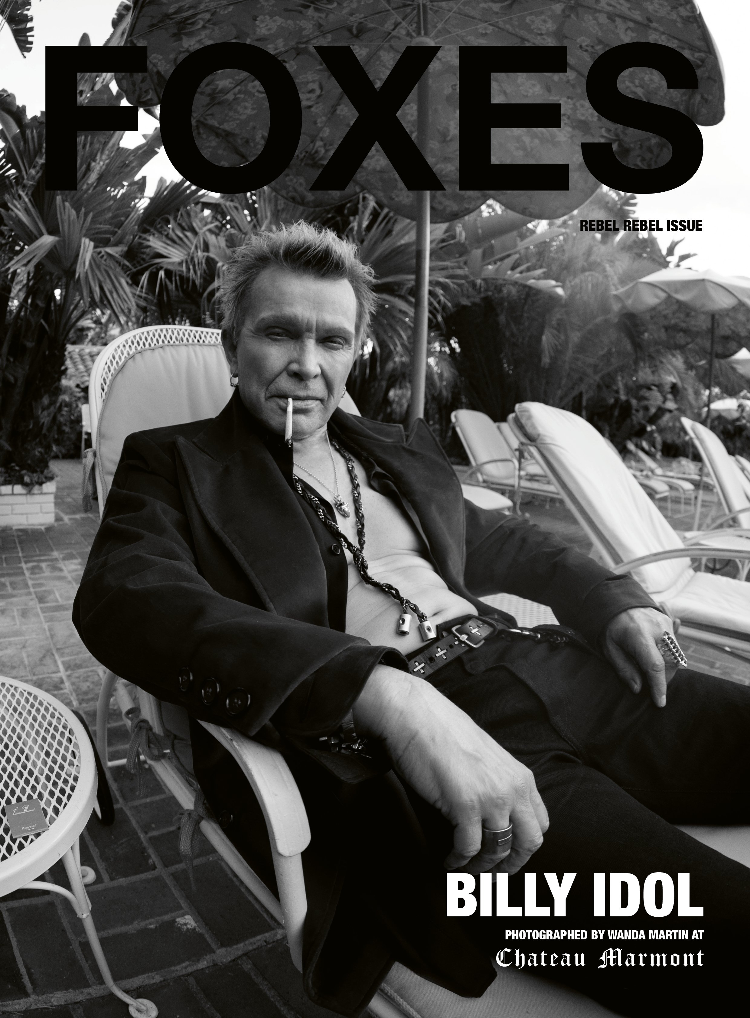 covers_foxes_Billy.jpg