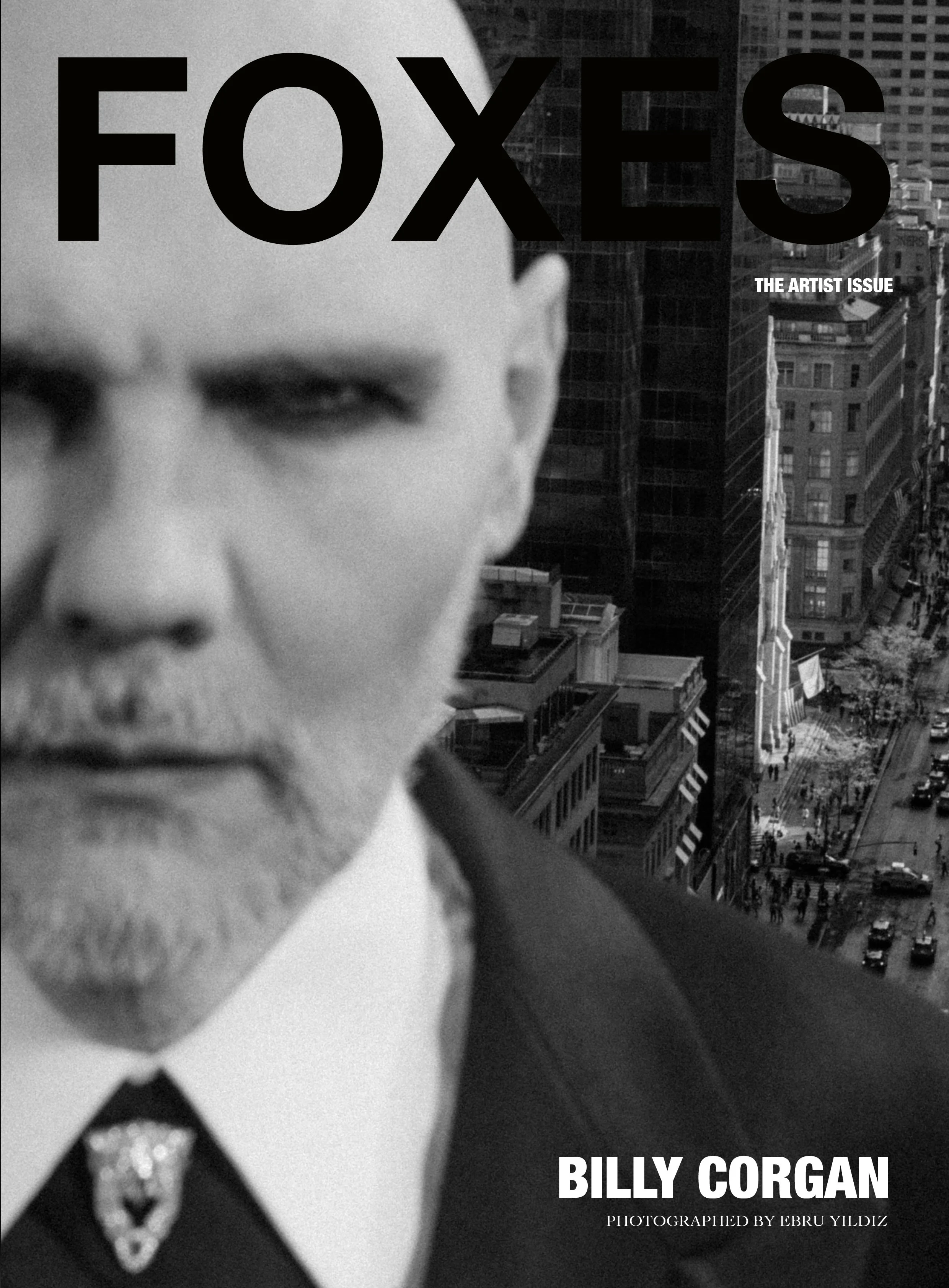 foxes_billy4.jpg