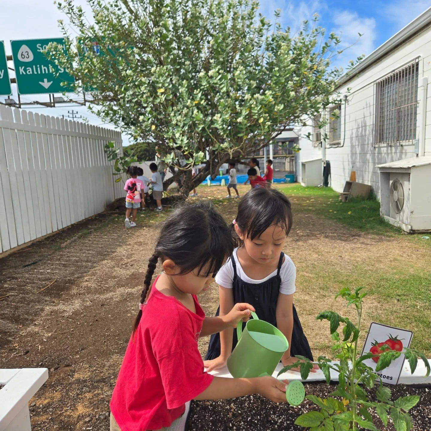 New tomato and cucumber seedlings have been planted in our new flower pots! 🪴🥒🍅 The Panda Class has started taking care of them with lots of love and effort. We&rsquo;re hoping they grow healthy and produce plenty of delicious vegetables! 🌱✨

#lu