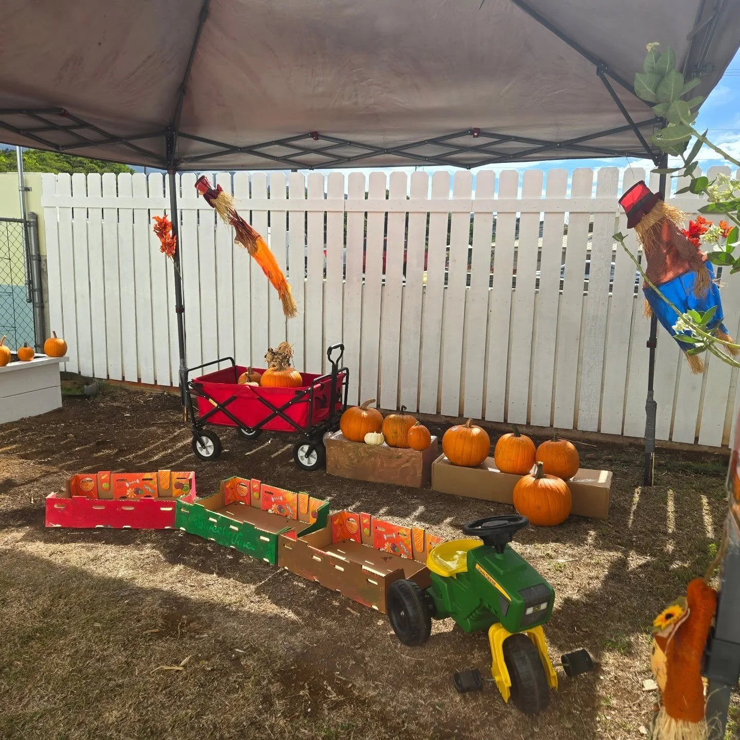 🎃 Our Pumpkin Patch was held right here in our preschool garden this year! 🍁🌿
This week and next, we&rsquo;ll be diving into lots of fun pumpkin-themed activities. 🍂✨
A big thank you to all the families who donated pumpkins &mdash; we&rsquo;re ex
