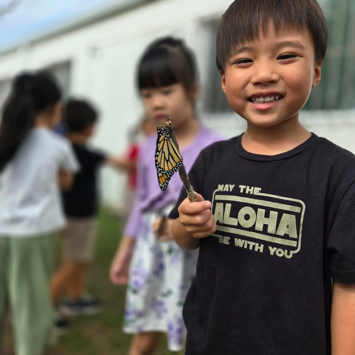 Panda Class (4-Year-Olds) had so much fun in the nature garden today!
We found lots of butterflies and caterpillars, and our tomatoes are growing beautifully! 🍅🦋✨

#lumbinipreschool
#ButterflySeason
#LearningFromNature
#PreschoolLife
#NaturePlay