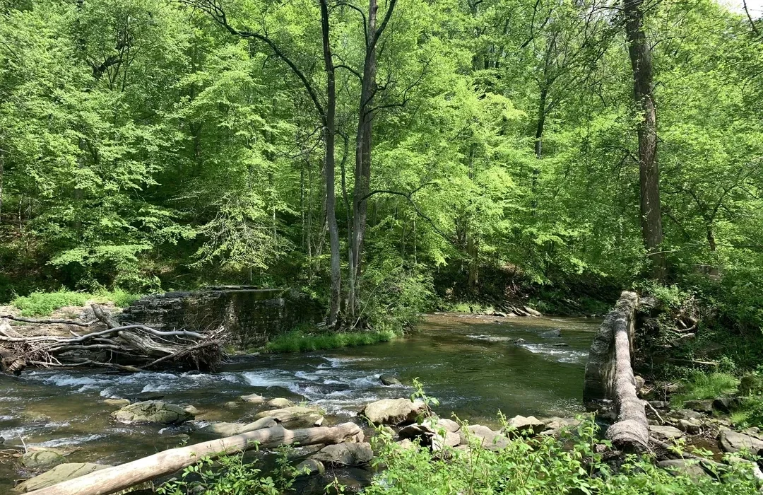 White Clay Creek Hike 
