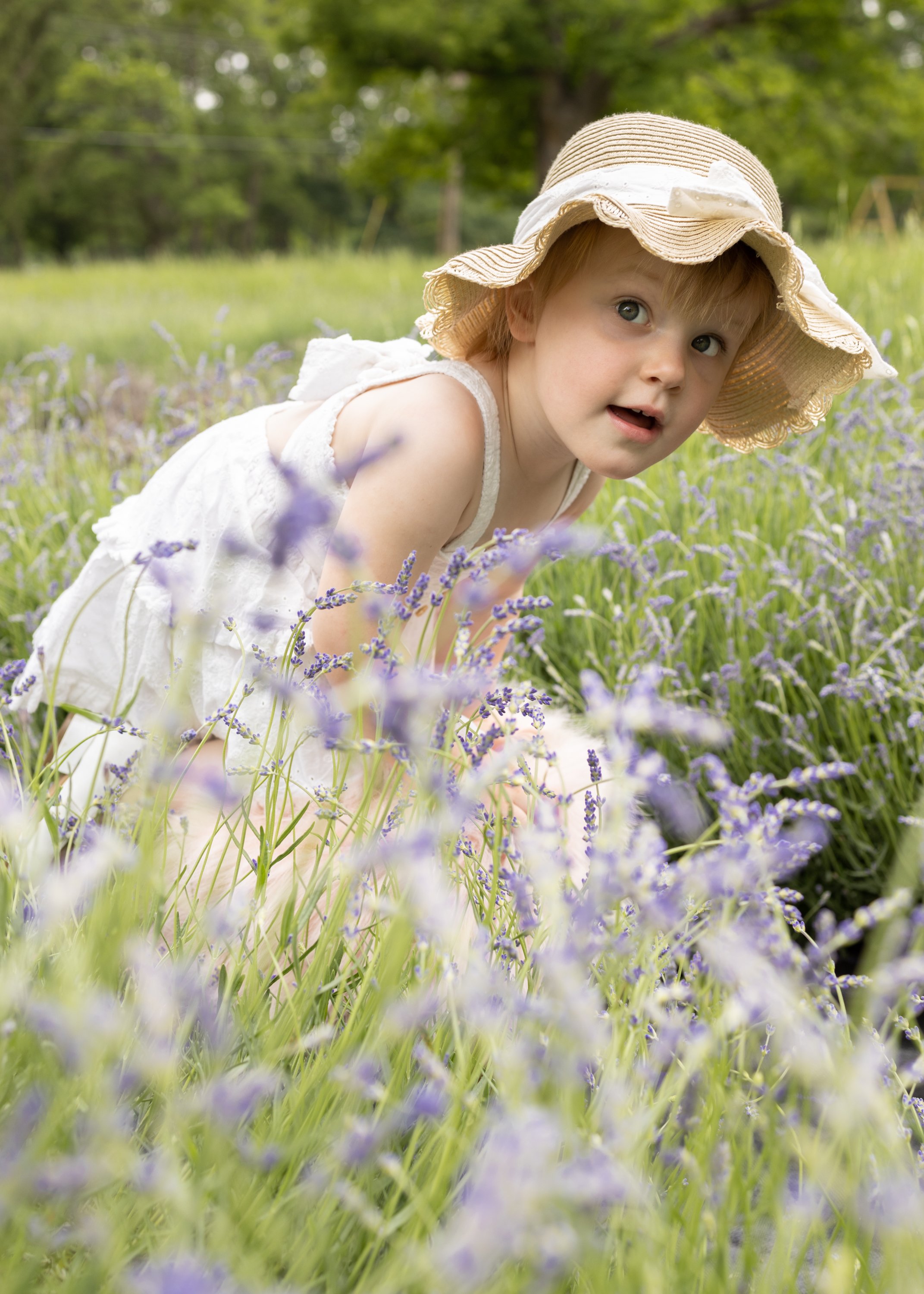 448A8021-Edit.JPG