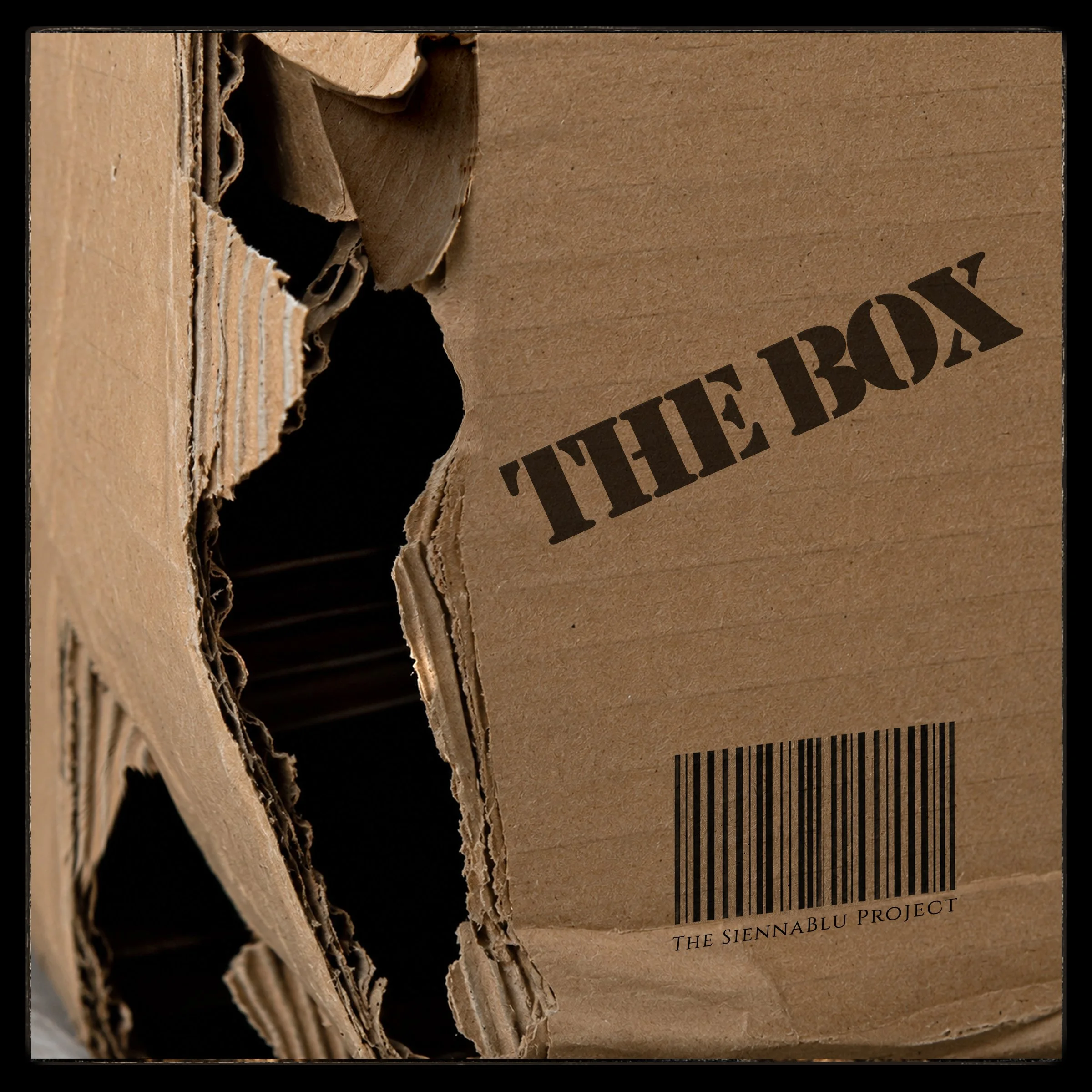 THE BOX COVER2.jpg
