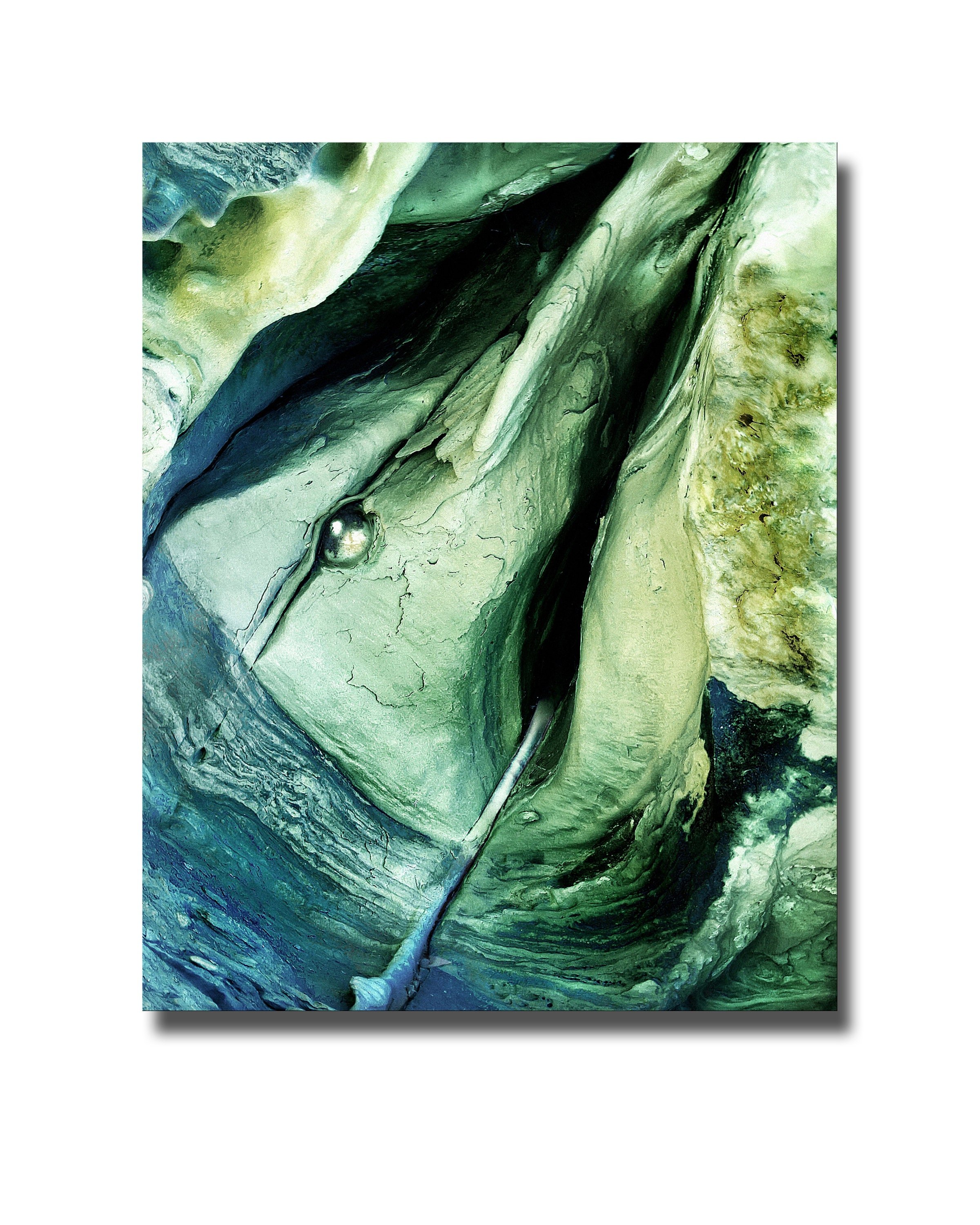 https://i.etsystatic.com/25199803/r/il/529b8b/2711776477/il_fullxfull.2711776477_6q0s.jpg