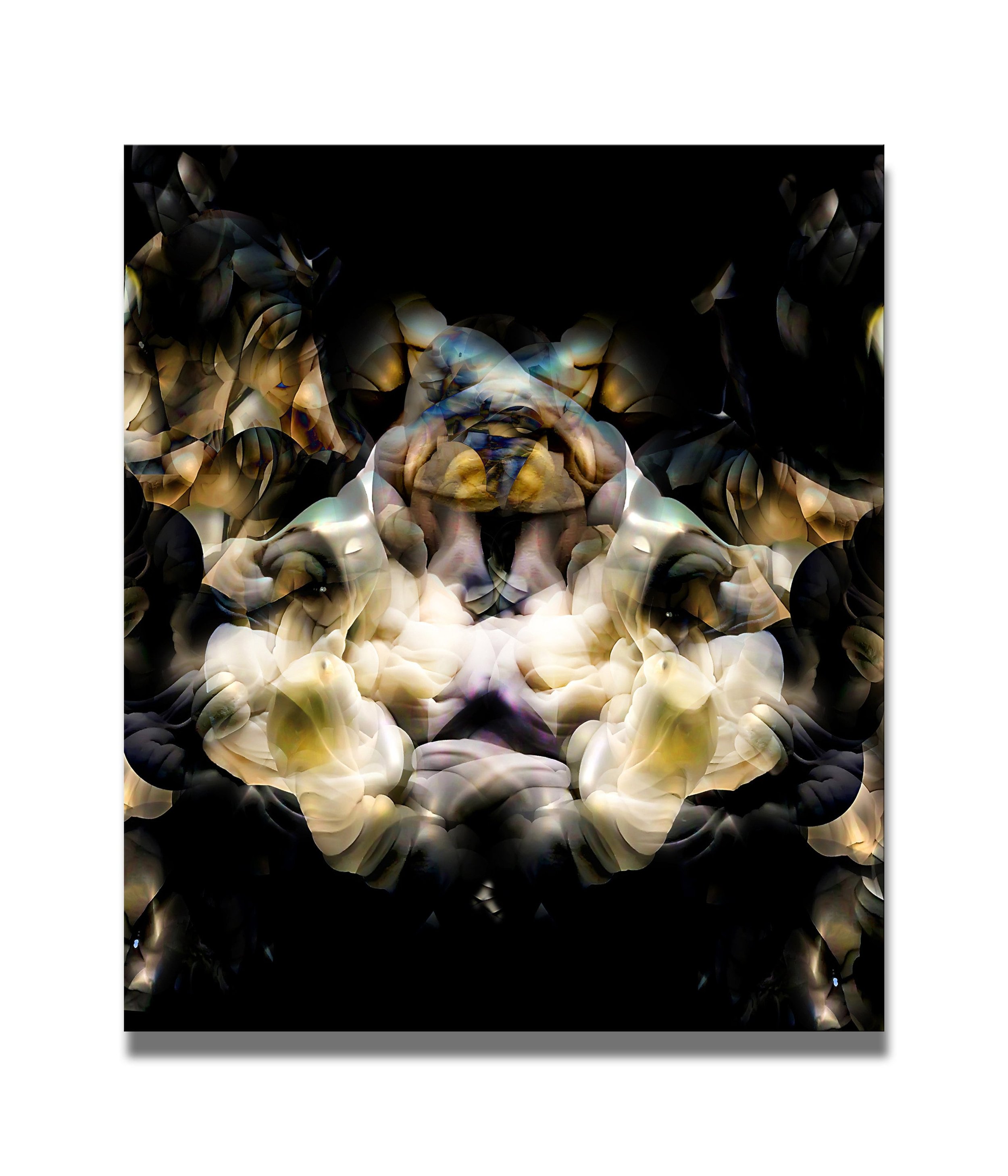 https://i.etsystatic.com/25199803/r/il/5bc72e/3241260988/il_fullxfull.3241260988_lp09.jpg