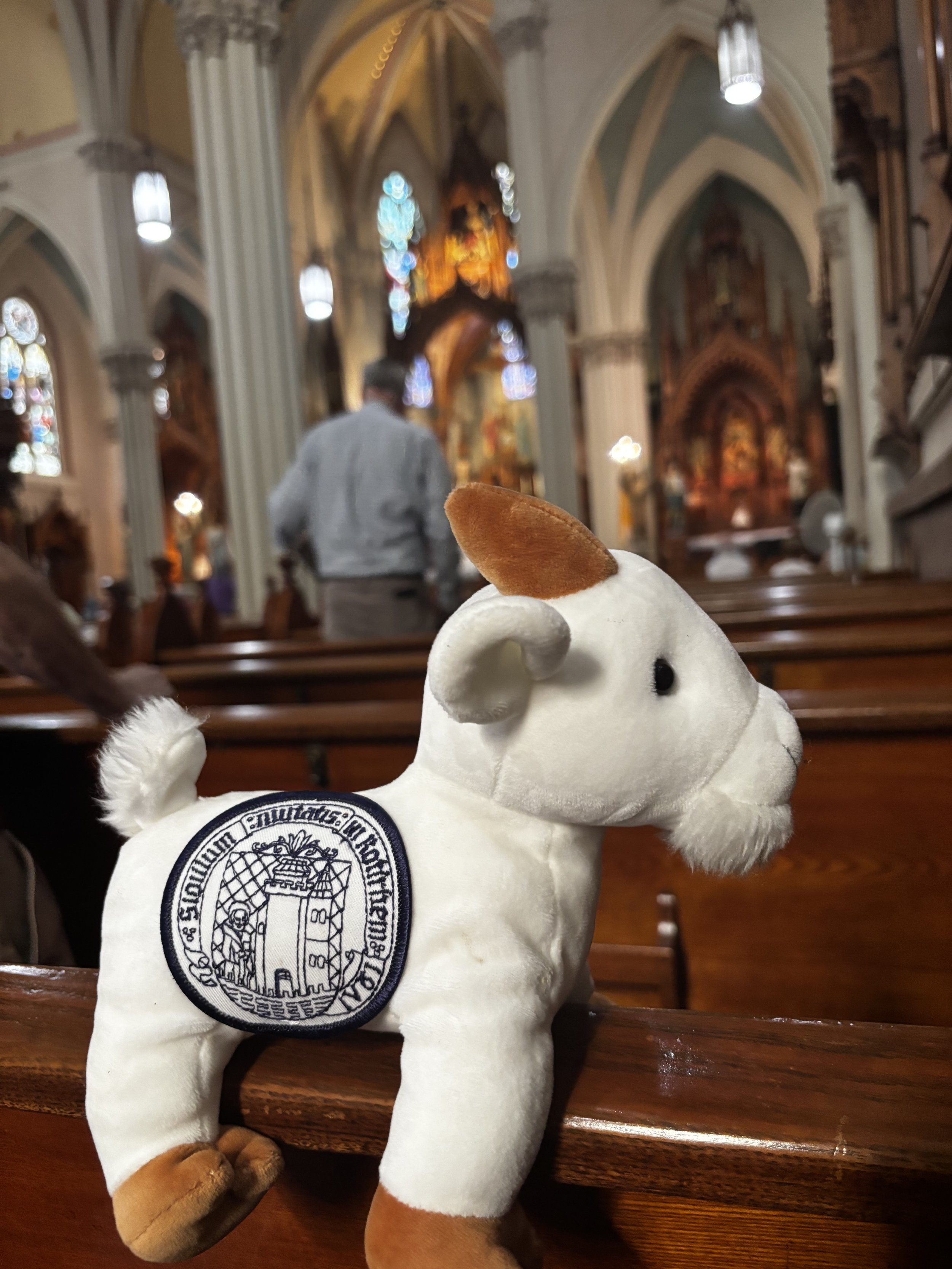NY Goat at St. Stephens Chuch Cleveland - Gillian Guile.jpeg