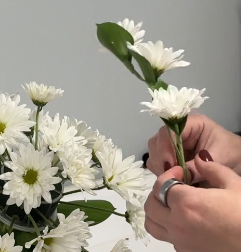rose of sharon floral designs teardrop daisy bouquet recipe
