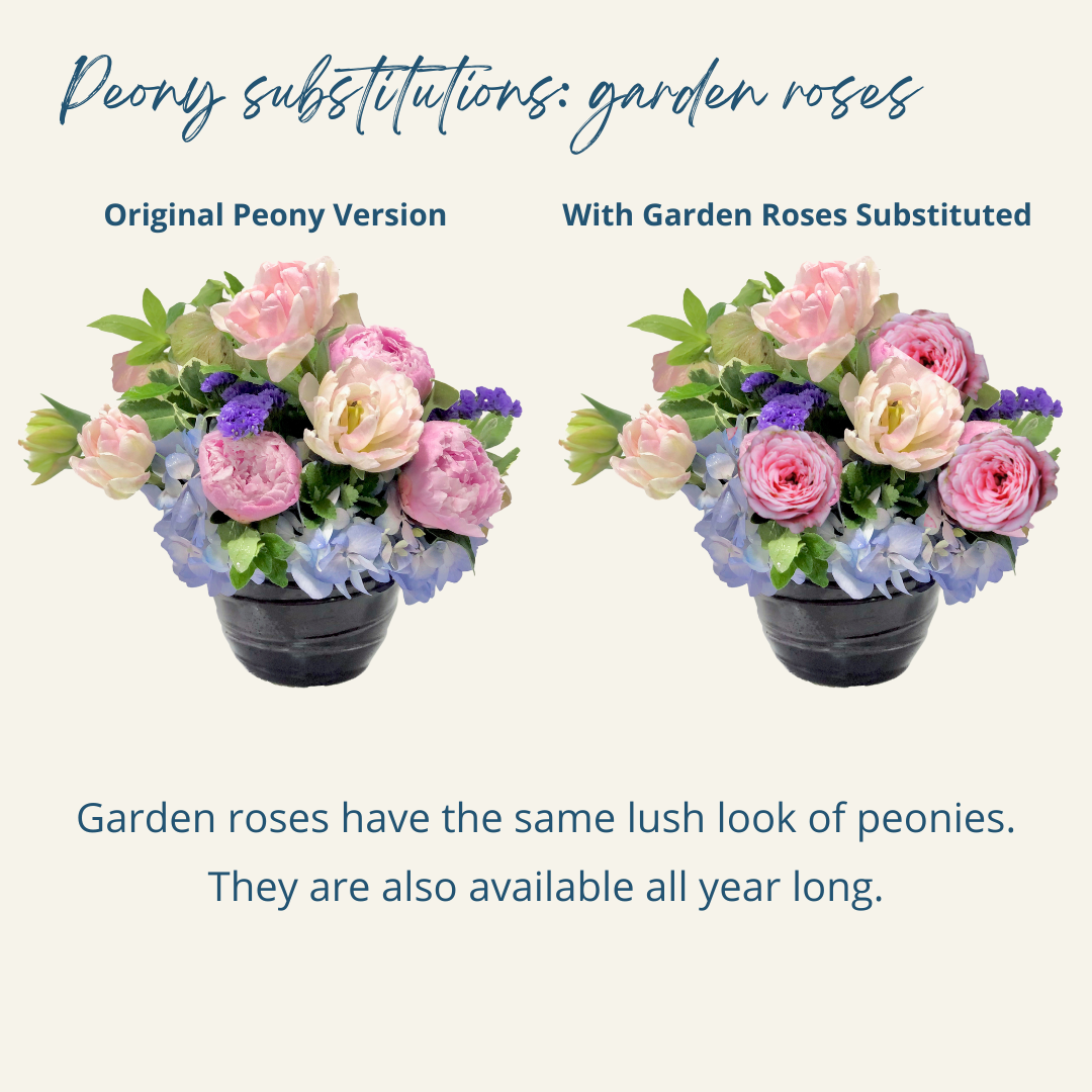 peony subs (5) (2) (1).png