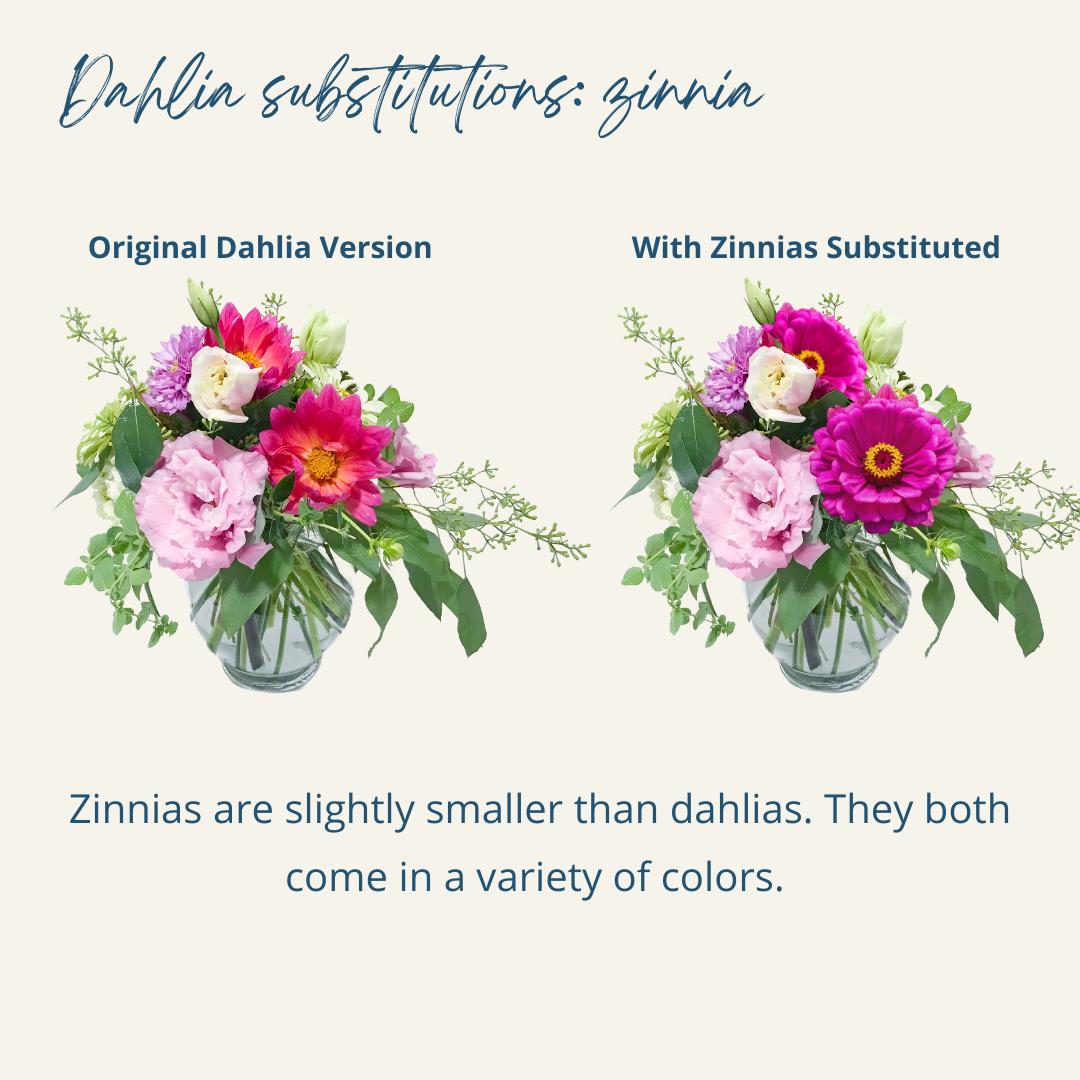 dahlia subs (5) (2) (1).png