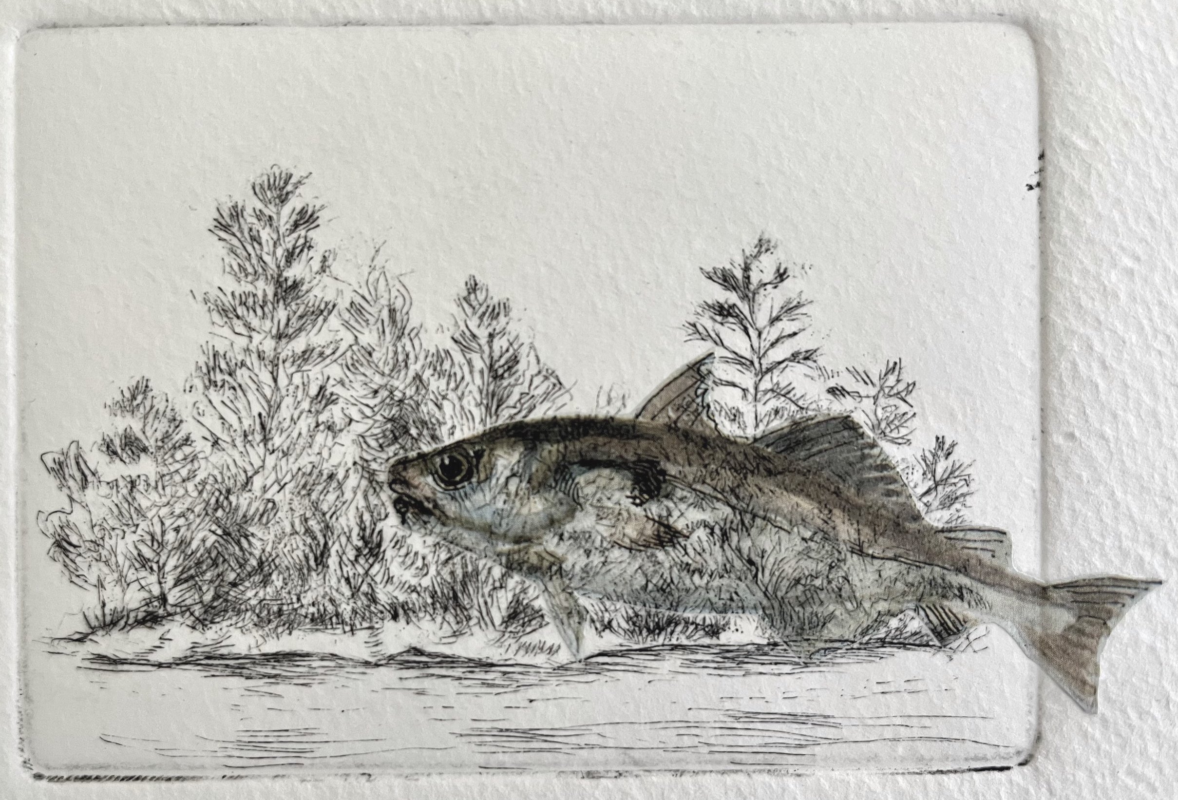 Lost Island II, VE 2/6, drypoint with chine collé, 3 x 4, unframed, $60