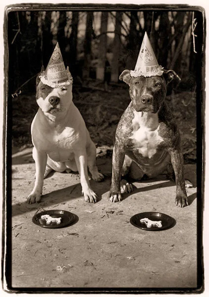 birthdaygirls.jpg
