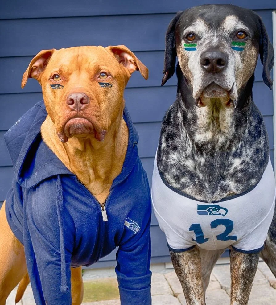gameday.jpg