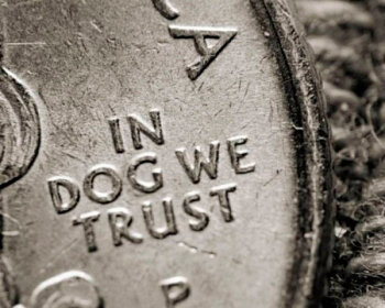 _in_dog_we_trust_coin.jpg