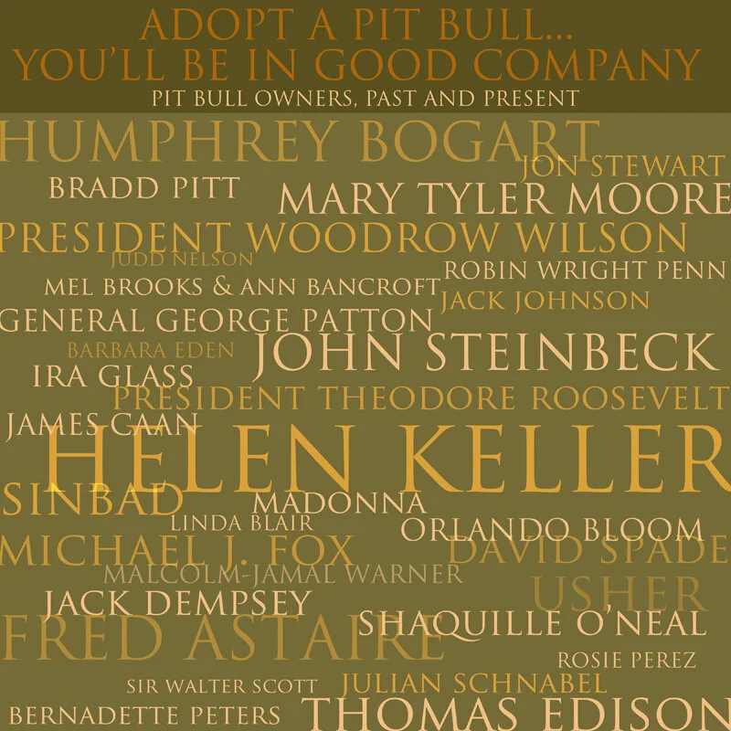 PitBull-Company.jpg