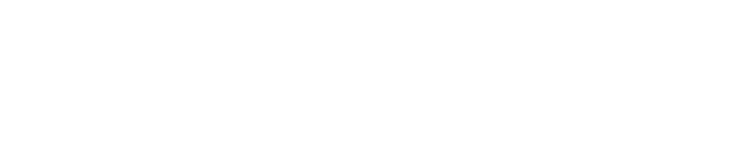 Adelantar Consulting