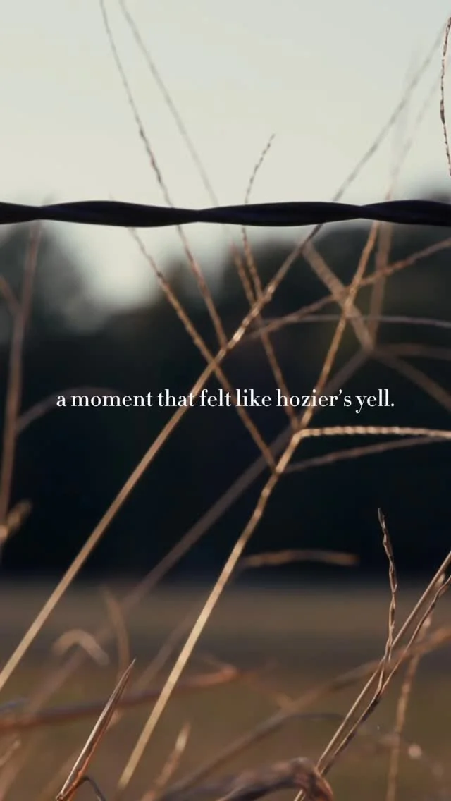 The Ridge remembers.π
Due to its historical significance as a transportation route and a refuge from flooding in the extensive plains of the Delta, Crowley’s Ridge encompasses some of Eastern Arkansas’ most prominent cities, including P