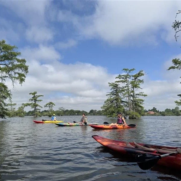 Mississippi River State Park and Delta Heritage Trail State Park have been key partners at the state level for Mile Zero, and if you've got a little extra time this weekend they have several opportunities to spend a little extra time outside!

🗓 Fri