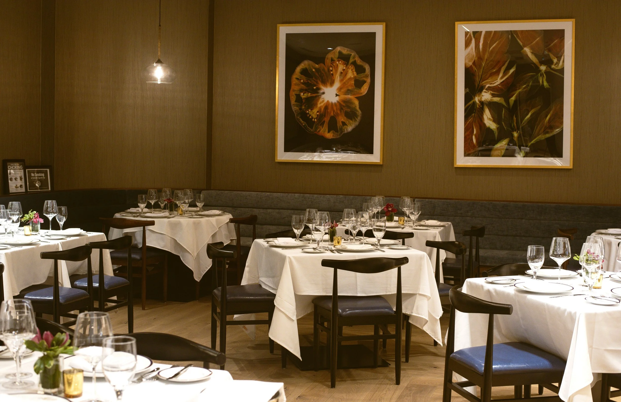 Allora Fifth Ave — Allora