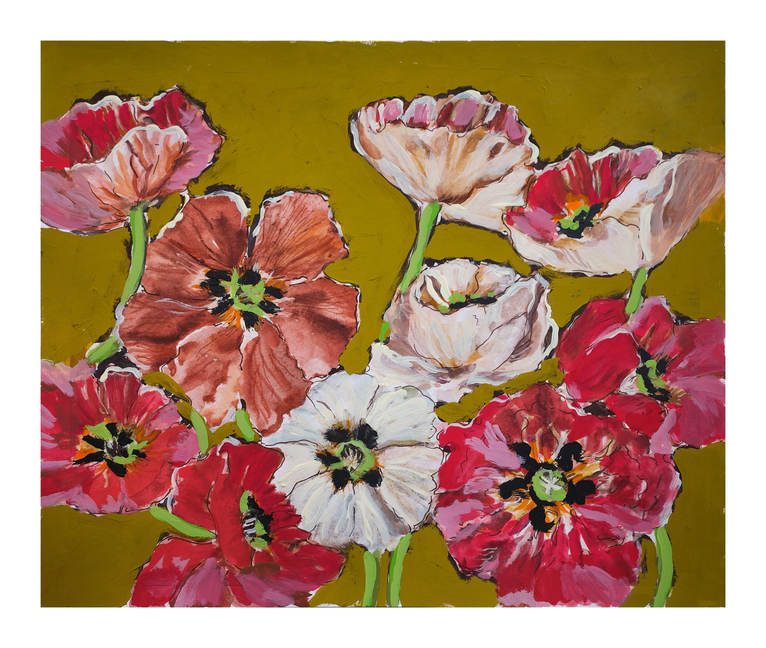 Poppies( mustard) , 8 x 10