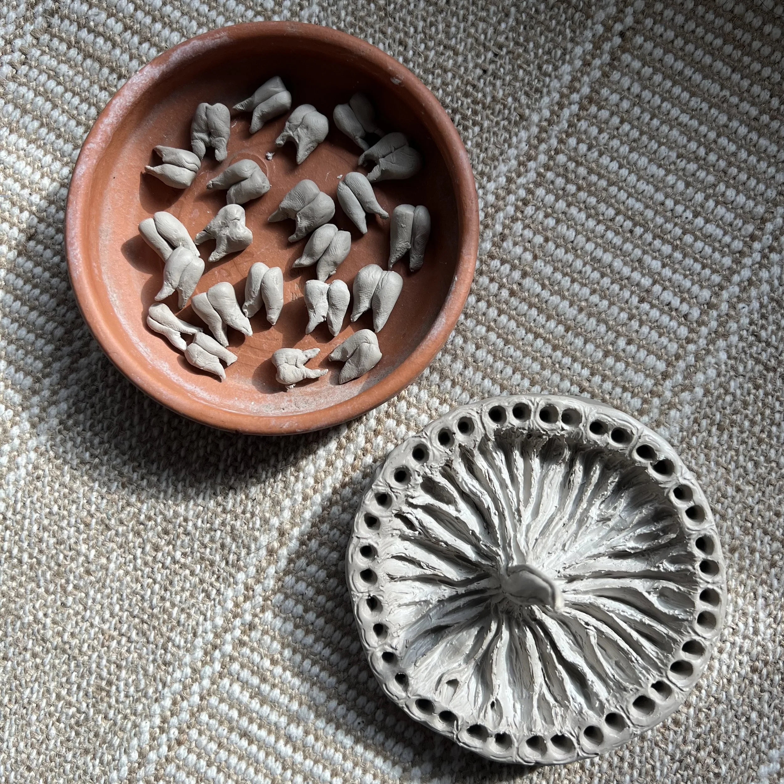 LINGUA (2025), In progress