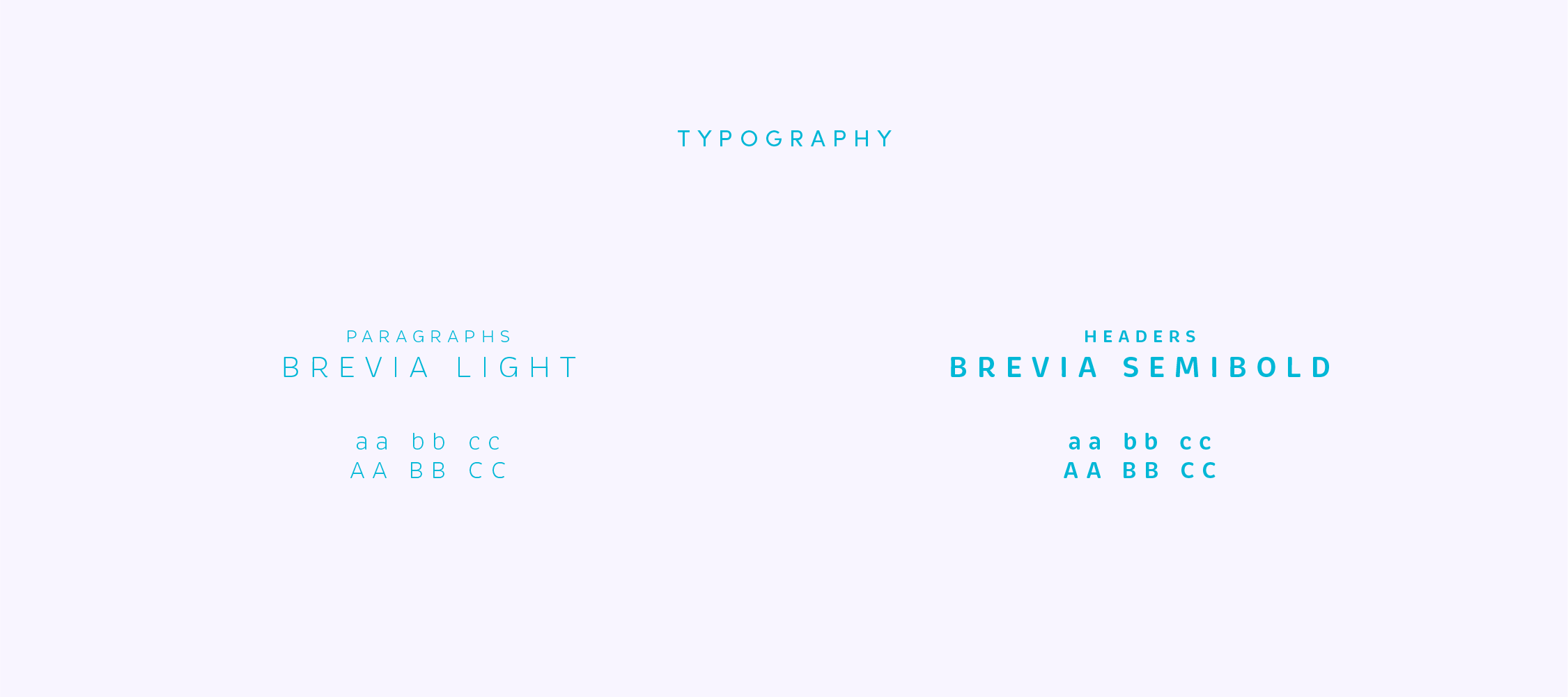 The IV Team Style Guide Seperate Sections-03.png