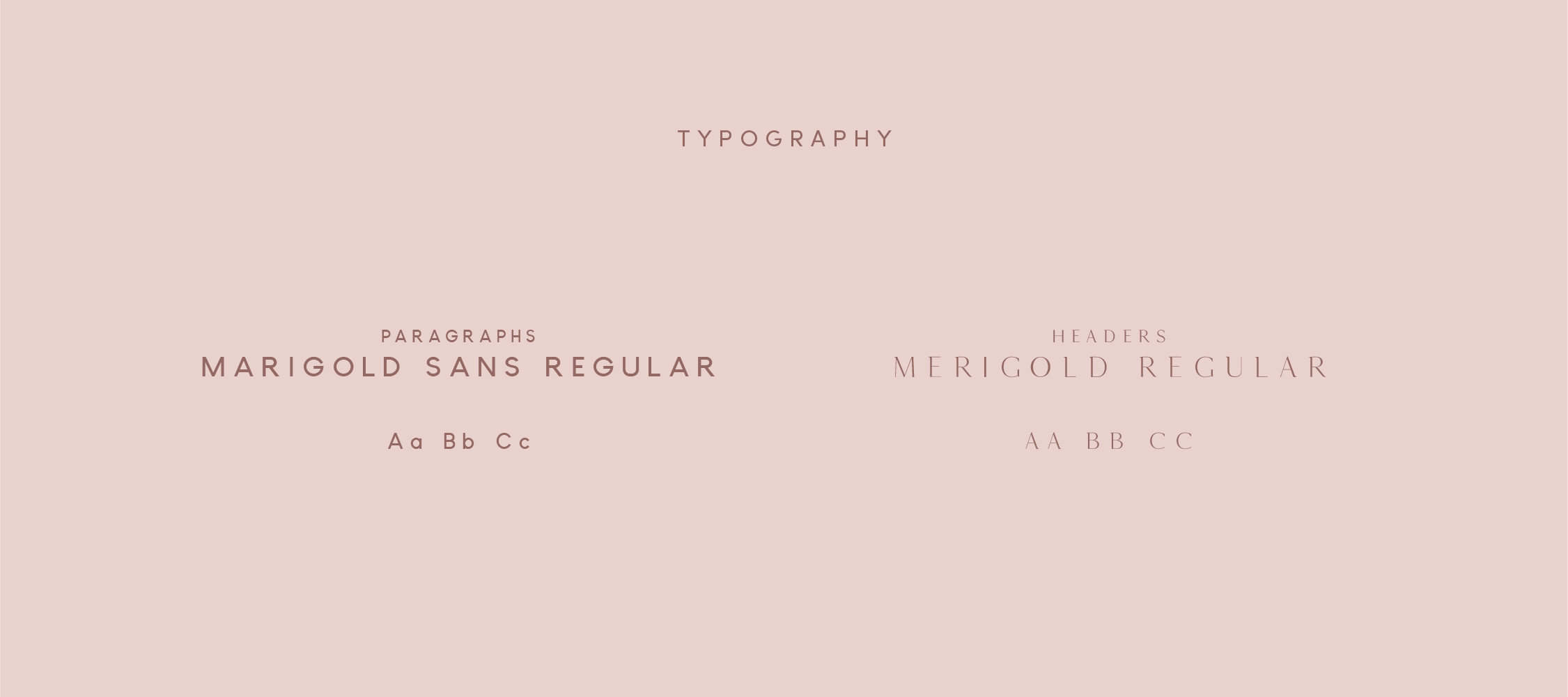 Dayani Beauty Bar Style Guide Seperate Sections-03.png