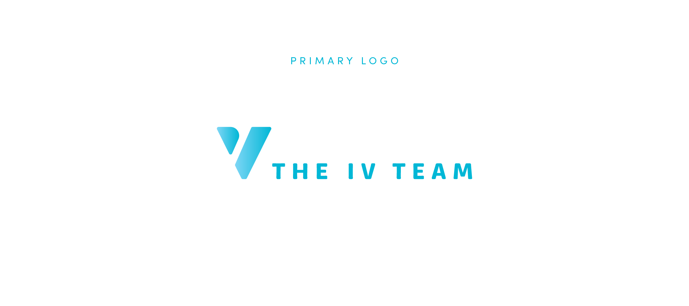 The IV Team Style Guide Seperate Sections-01.png
