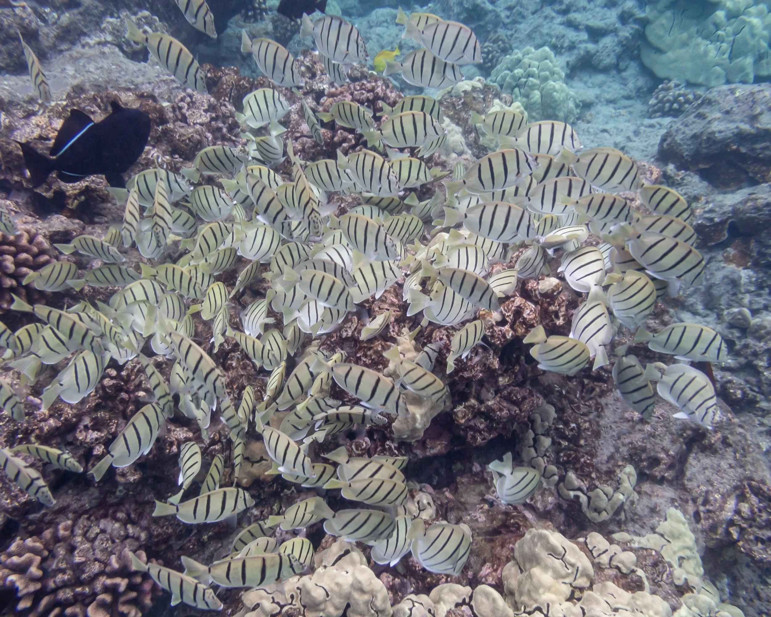 P3140661.jpg