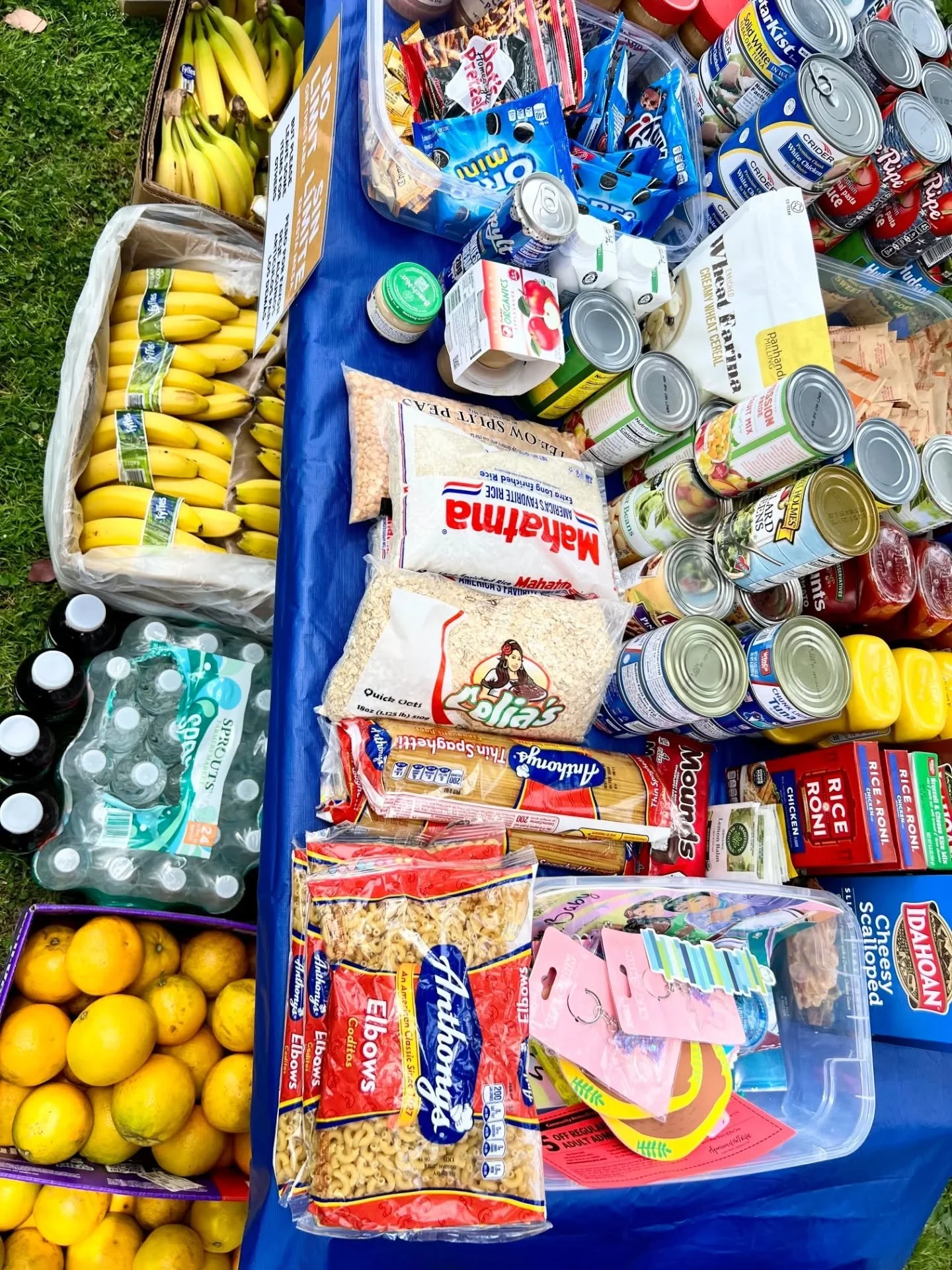 Today's distribution ended with some fundraiser prep for next weekend. 🥫❤️🌿

Join us on Saturday, May 9th from 12 to 4 at Ambitious Ales for a very special Mother's Day gift sale! All proceeds will go directly to local families affected by ICE raid