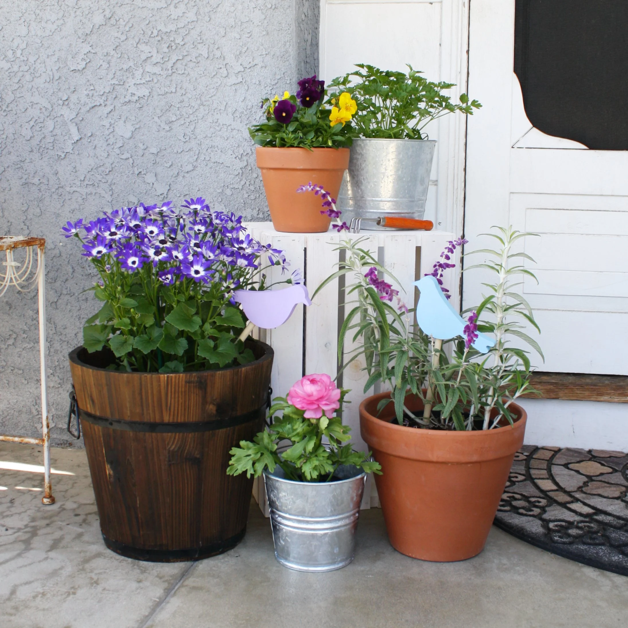 spring porch2 square.jpg