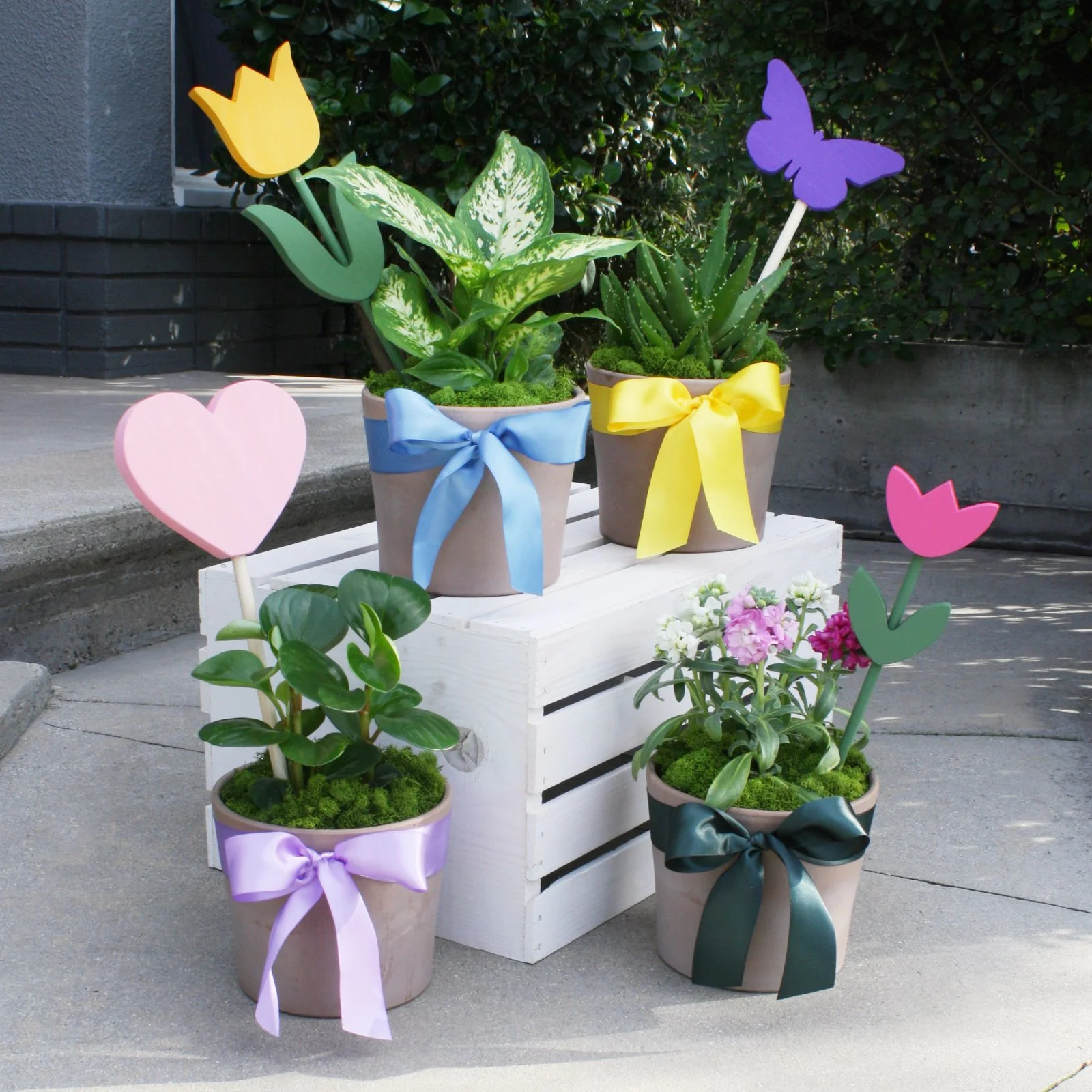 design your own square.jpg