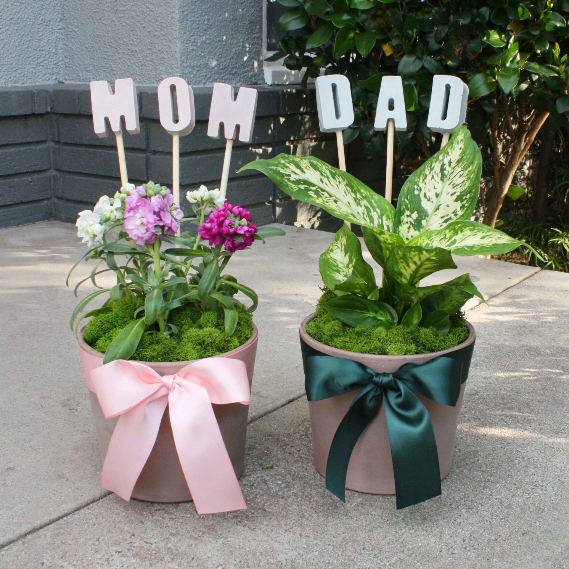 mom dad square.jpg