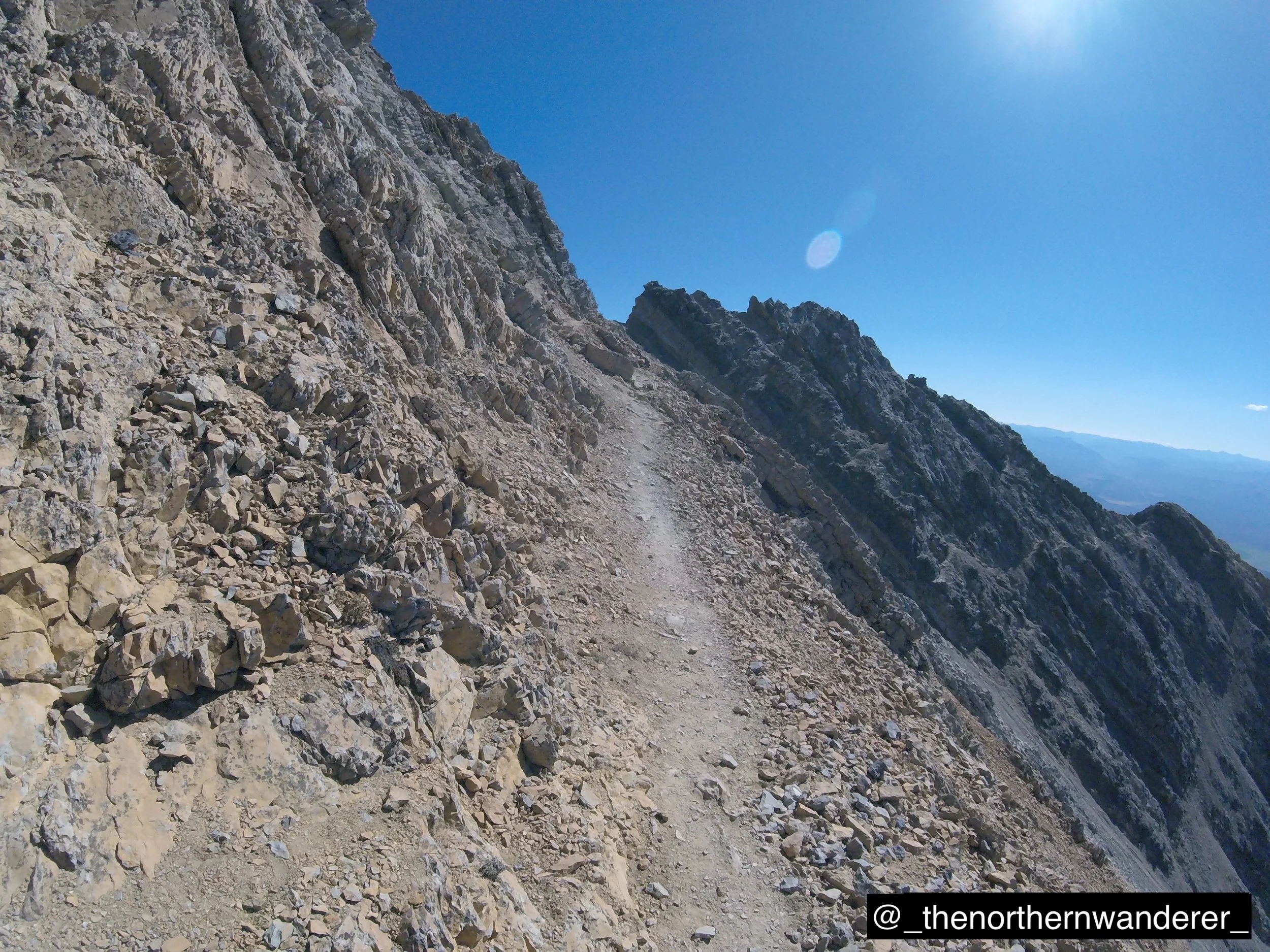 42   G0143854.JPG   BP GALLERY.JPG