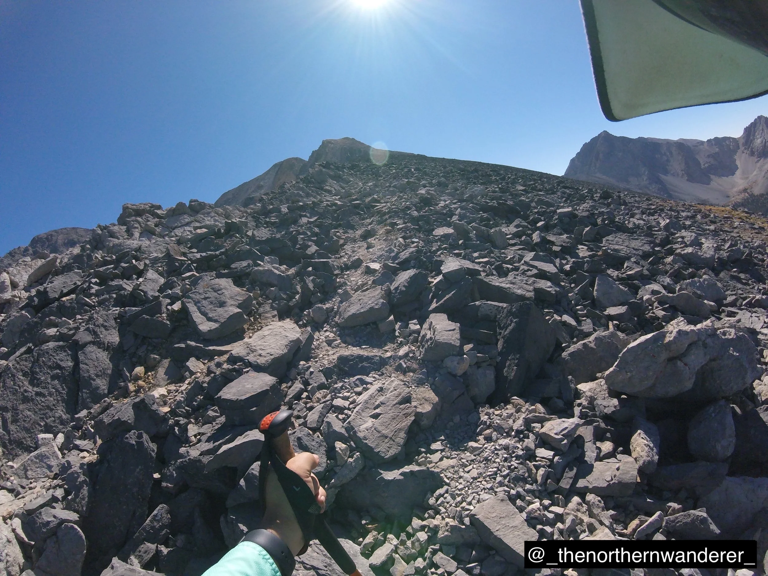 14   G0102350.JPG    BP GALLERY.JPG