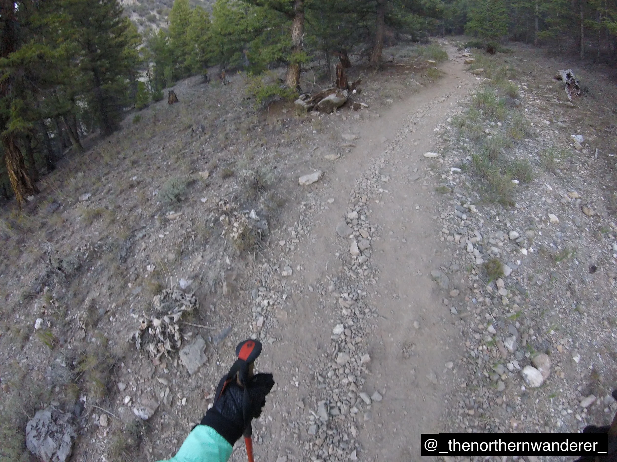 5   G0092162.JPG.     BP GALLERY.JPG