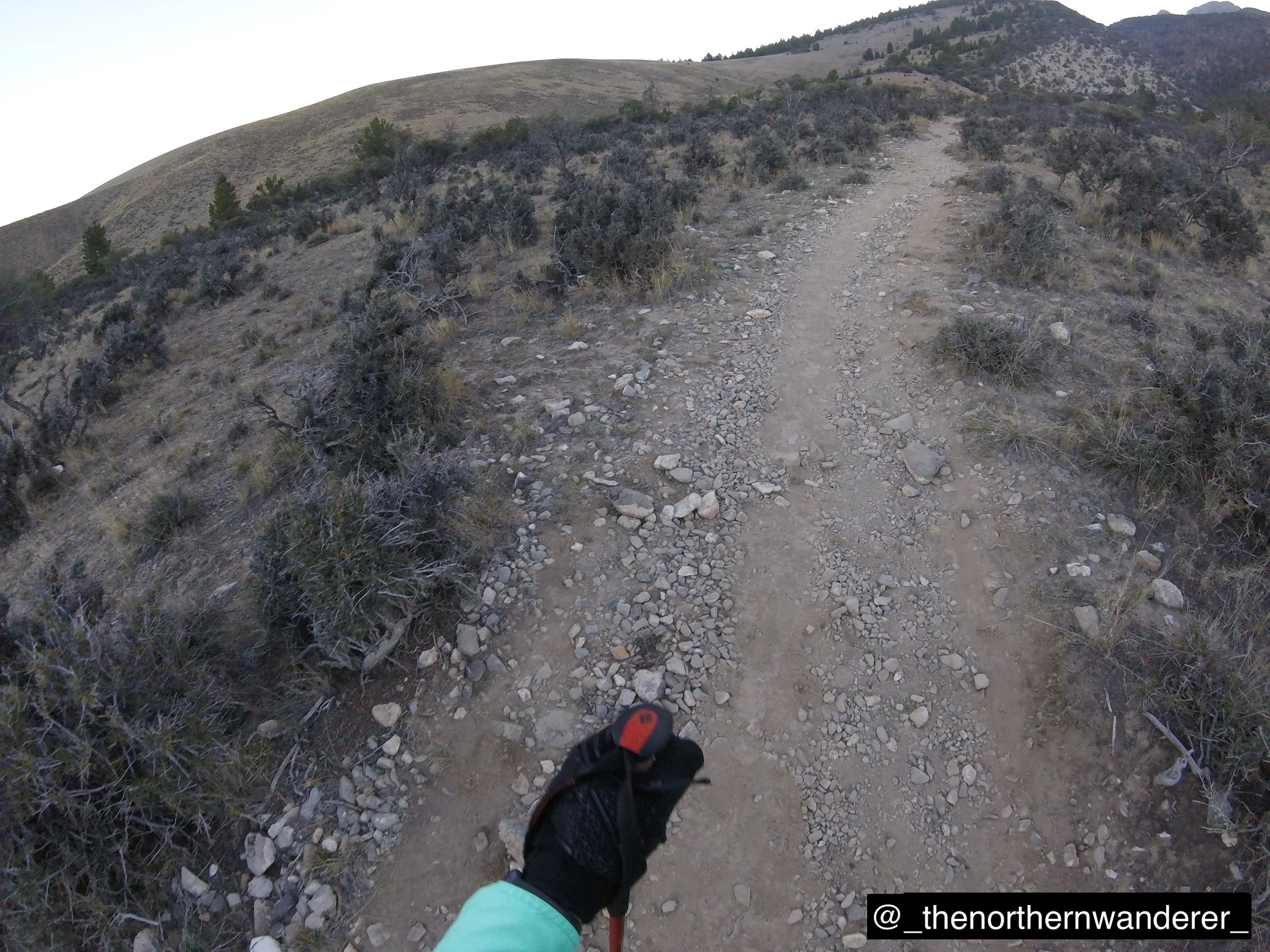 3   G0092141.JPG.    BP GALLERY.JPG