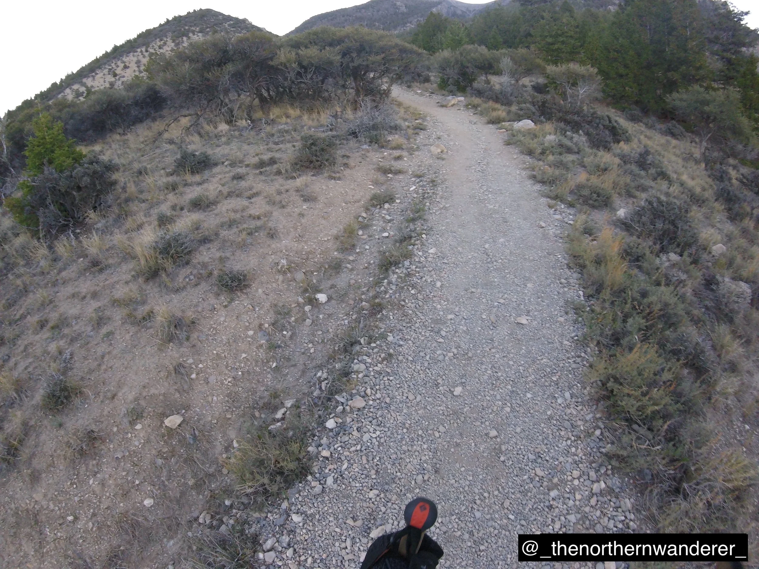 4   G0092152.JPG.     BP GALLERY.JPG