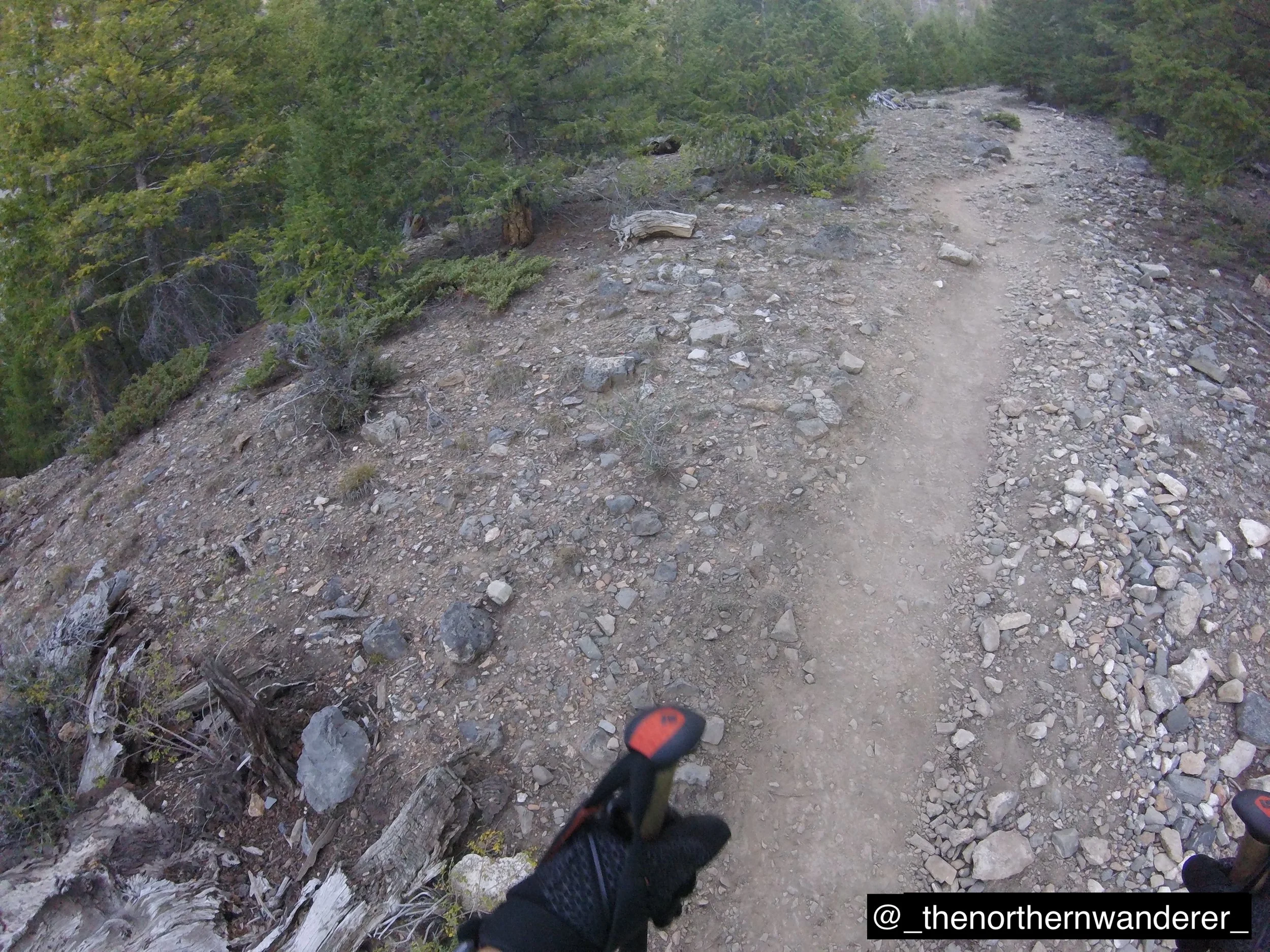 6   G0092183.JPG.    BP GALLERY.JPG