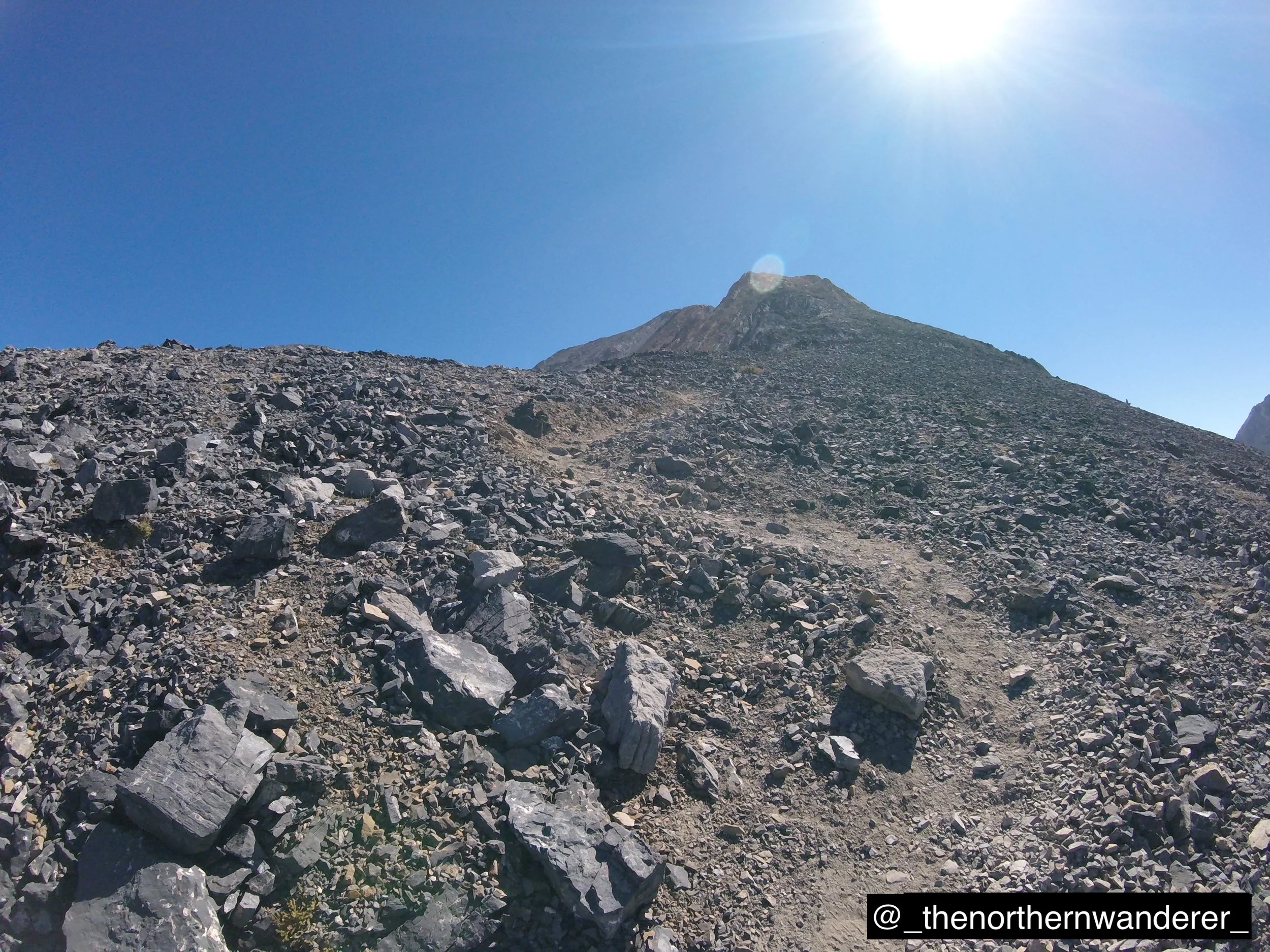 15   G0102363.JPG    BP GALLERY.JPG