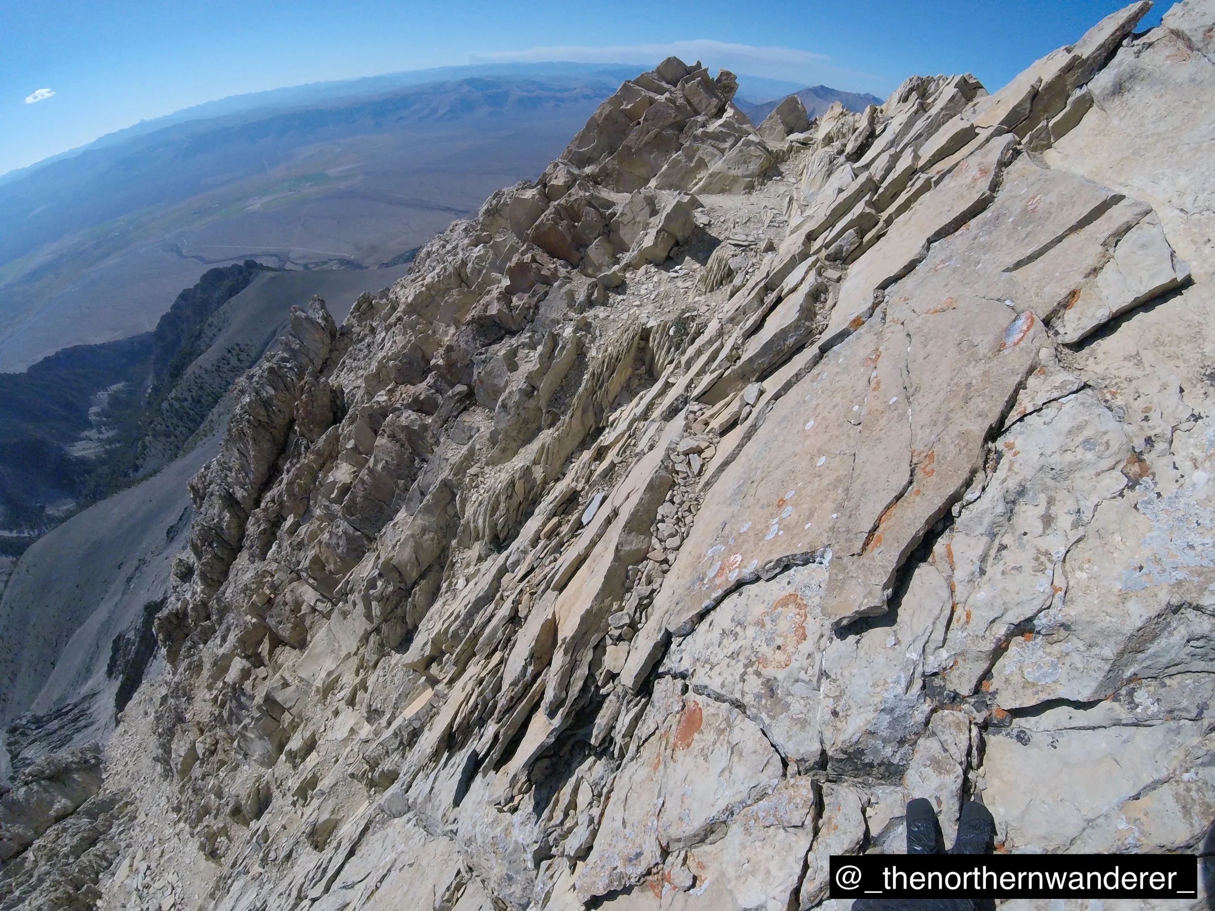 55   G0144820.JPG   BP GALLERY.JPG