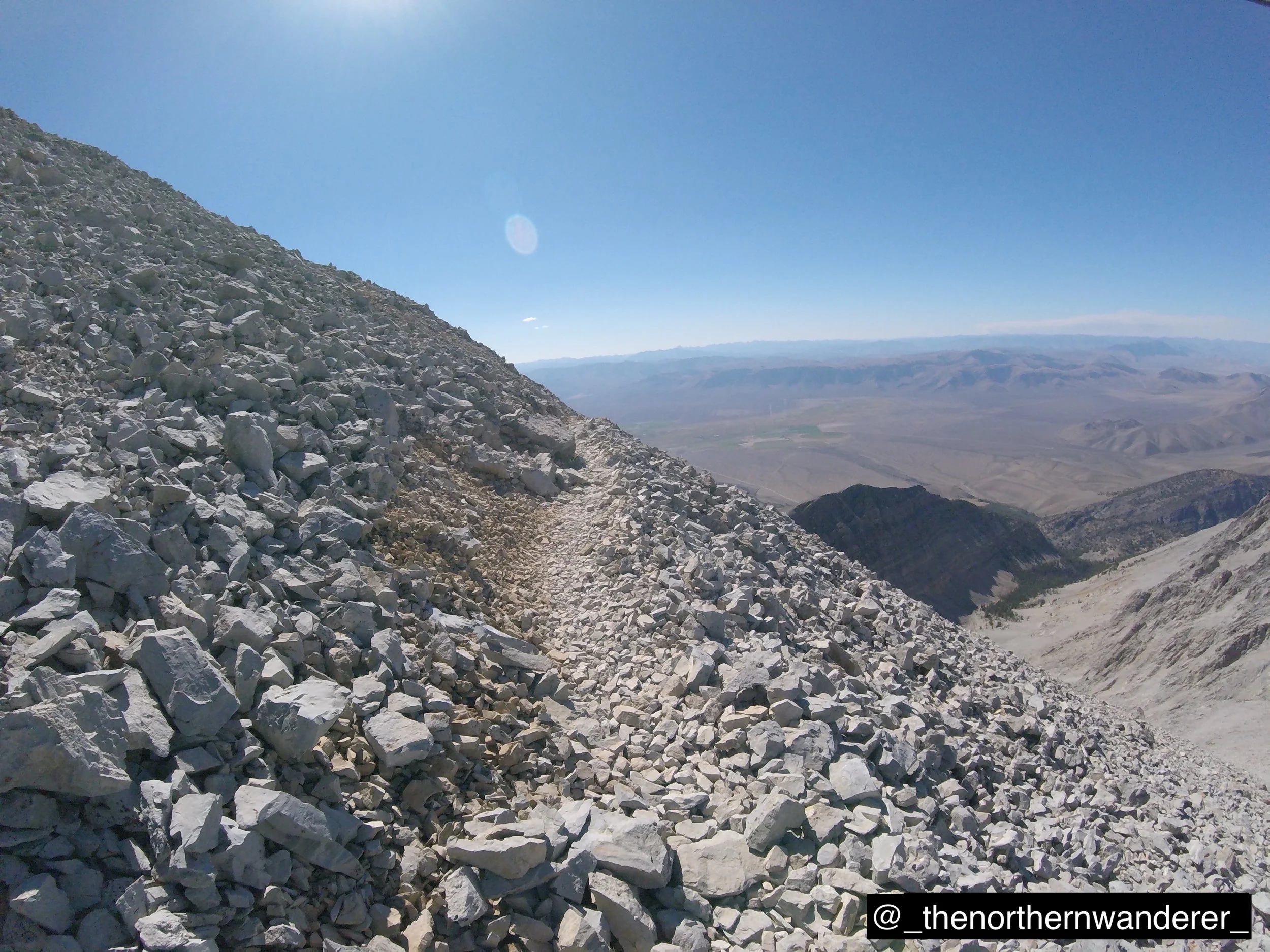 41   G0143643.JPG   BP GALLERY.JPG