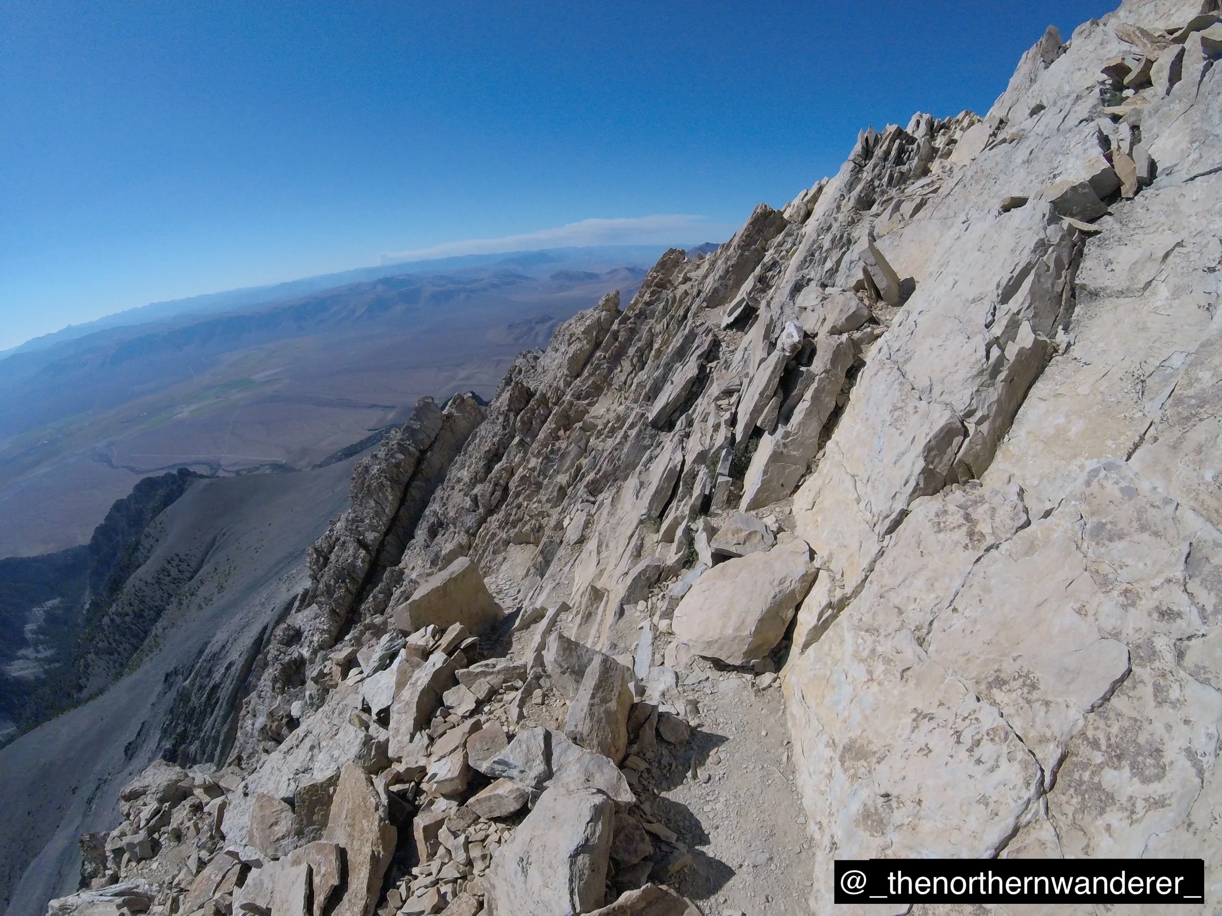 53   G0144792.JPG   BP GALLERY.JPG