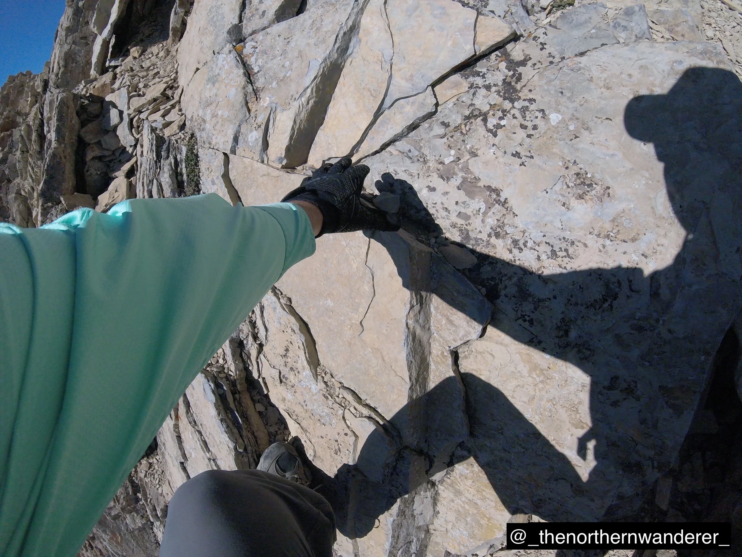 54   G0144808.JPG   BP GALLERY.JPG